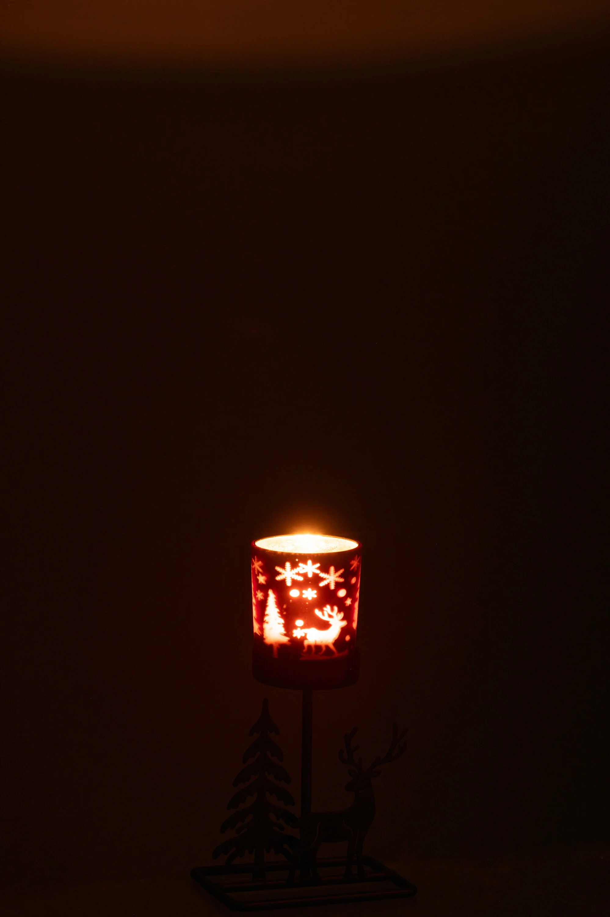 Miniatuur 3