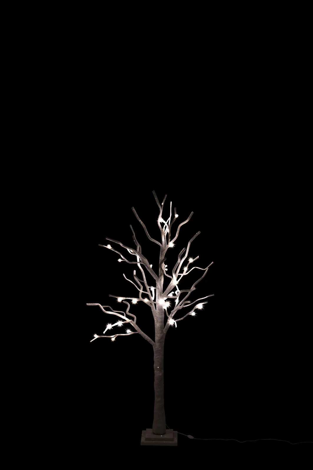 Miniatuur 2