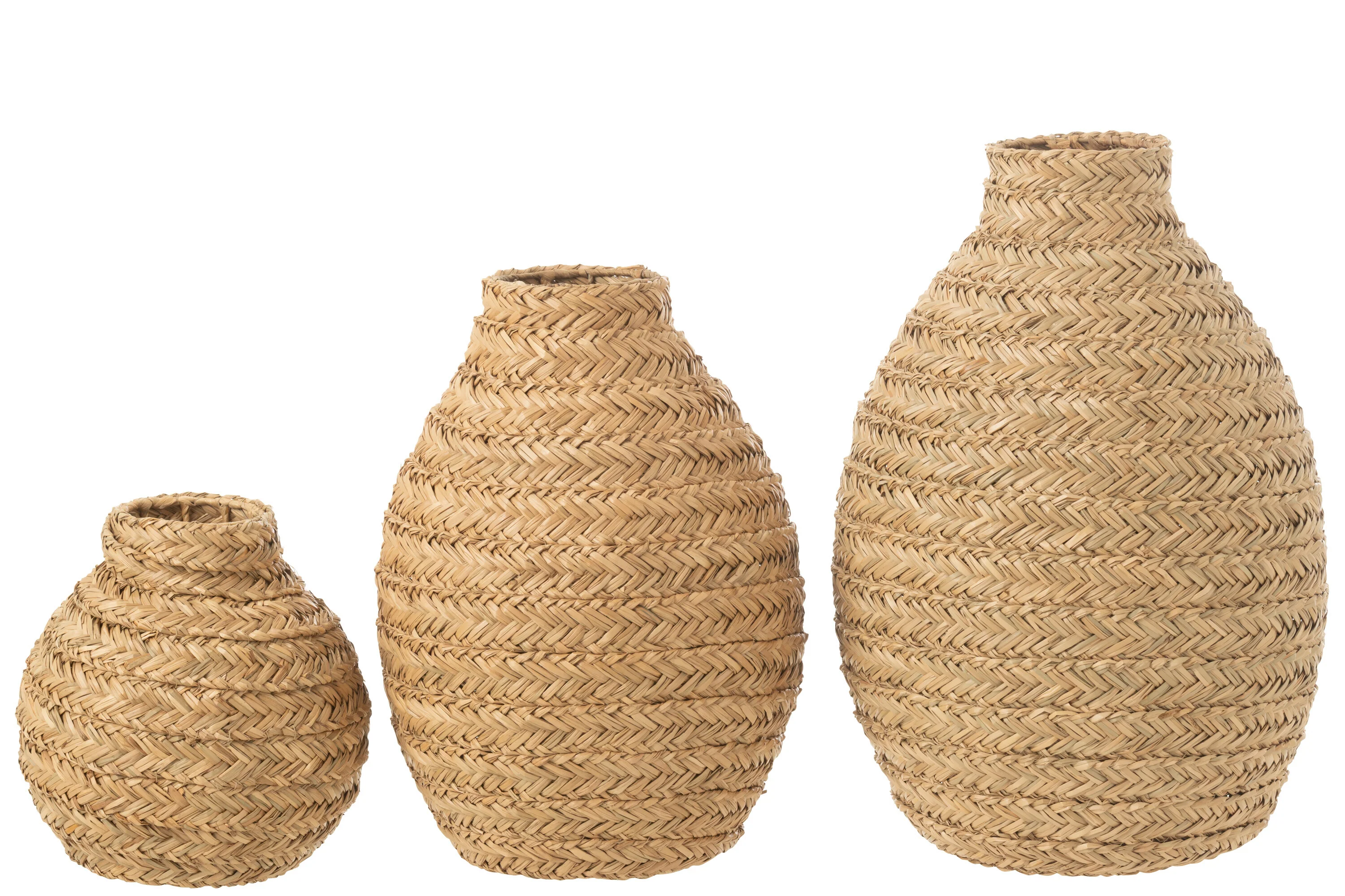 Miniatuur 3