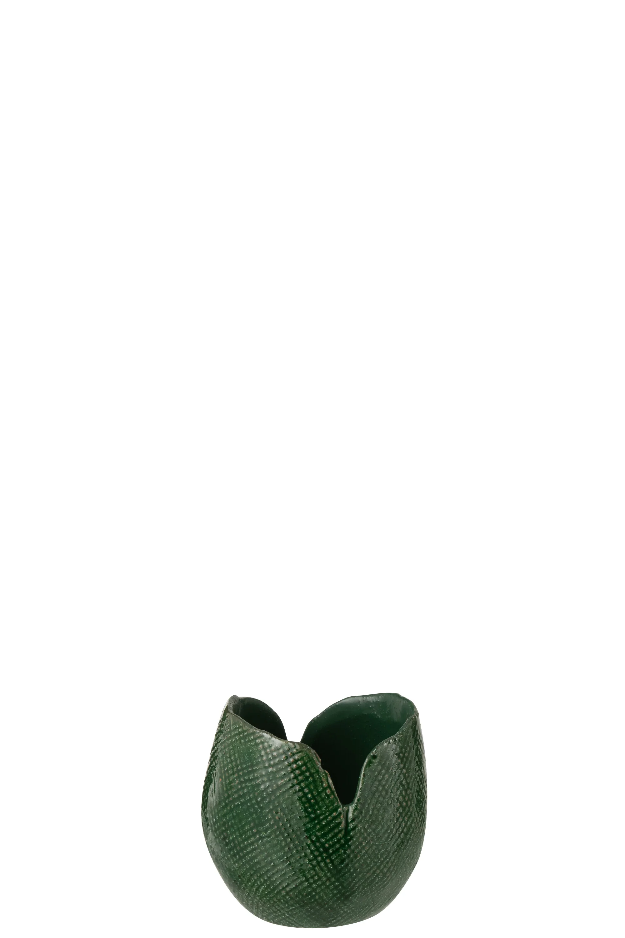 Miniatuur 2