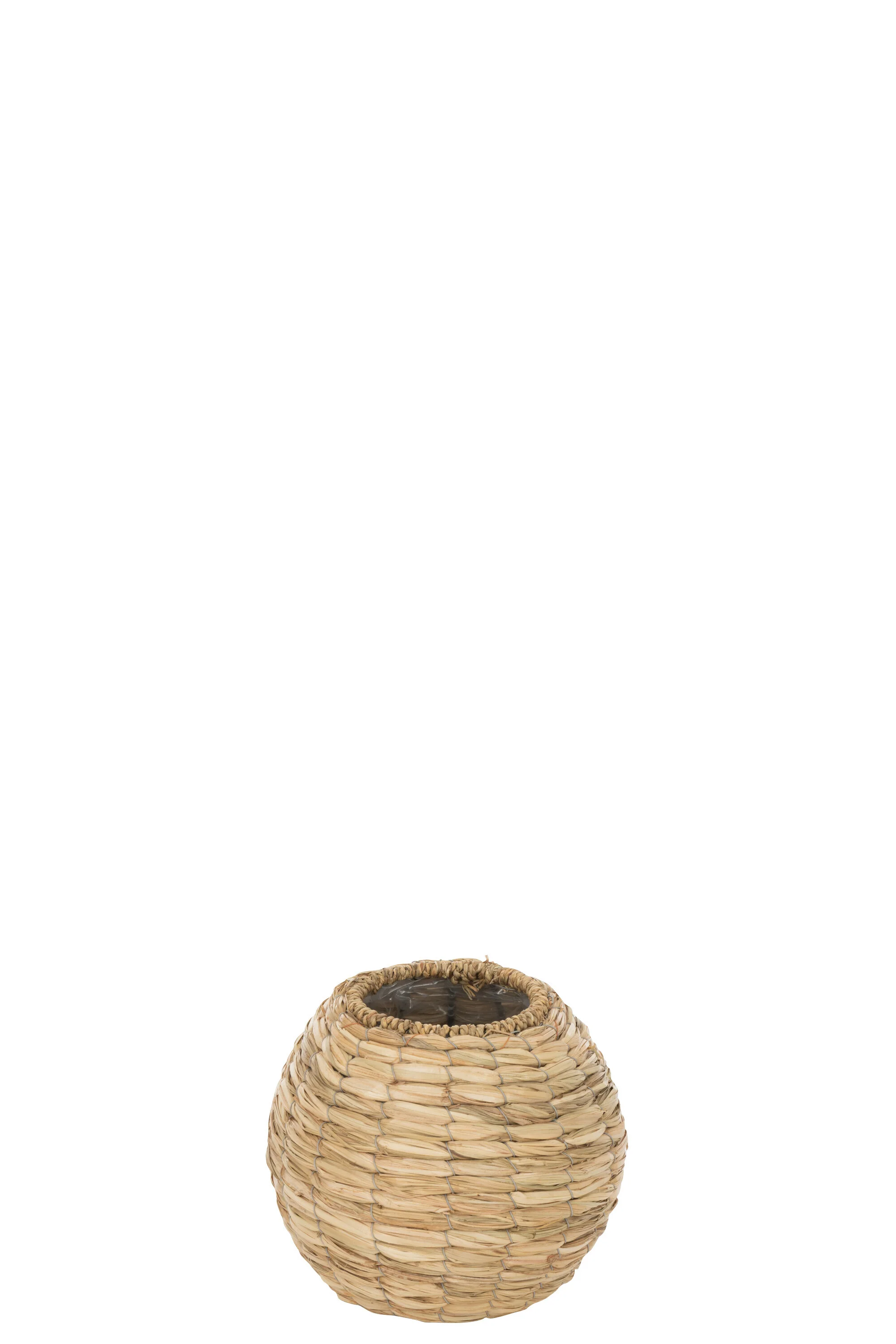 Miniatuur 2