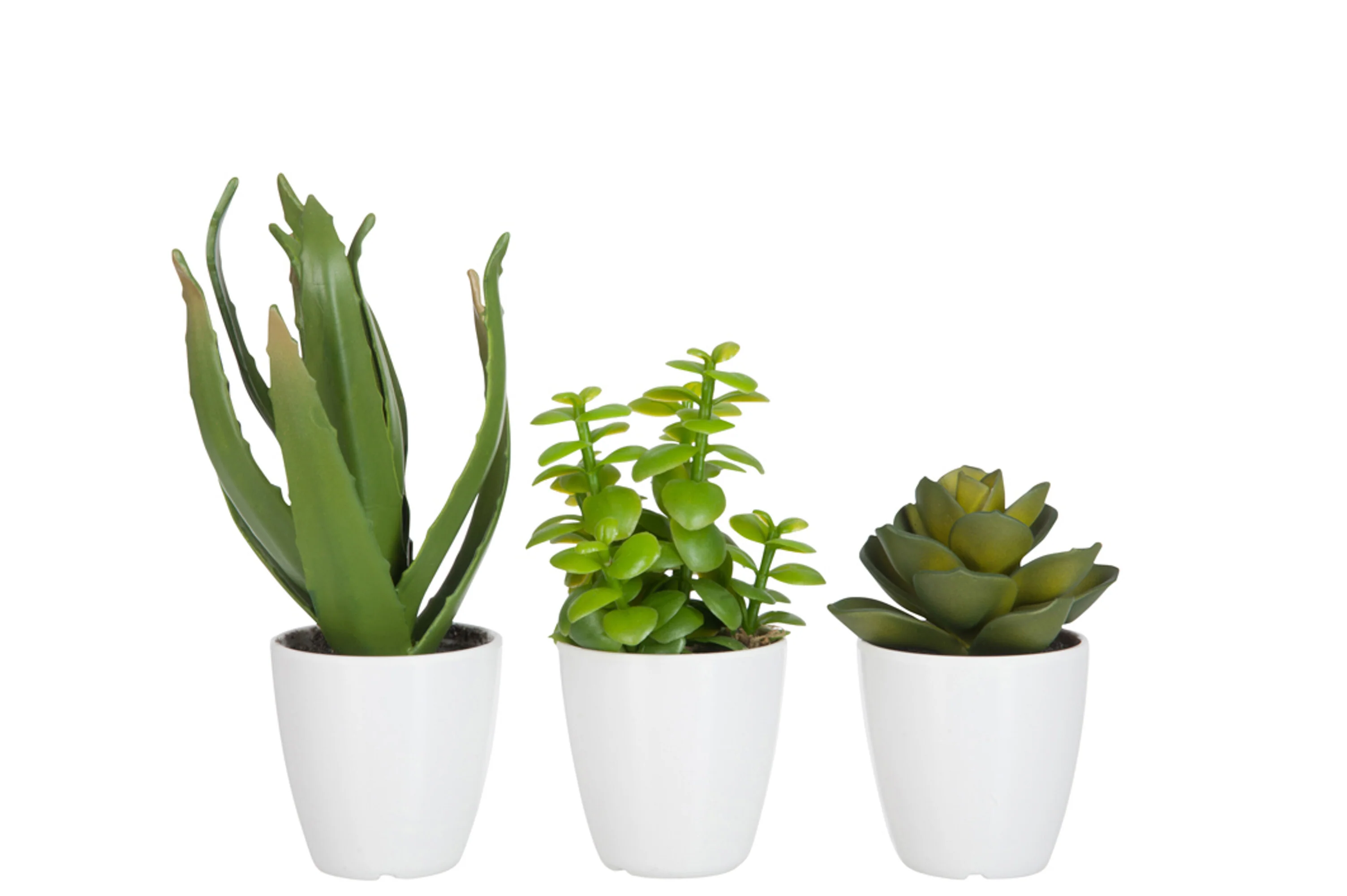 Miniatuur 2
