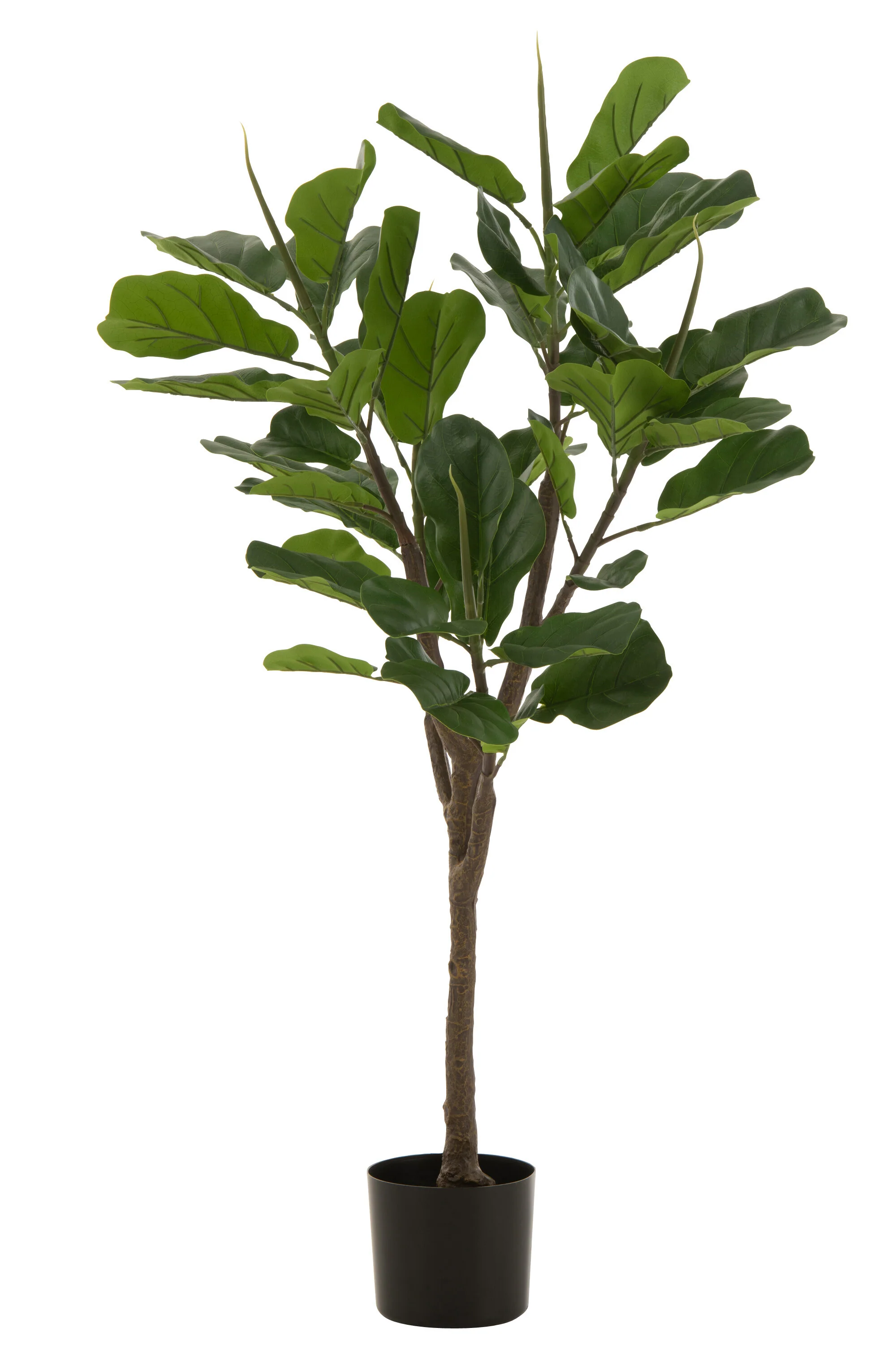 Miniatuur 3