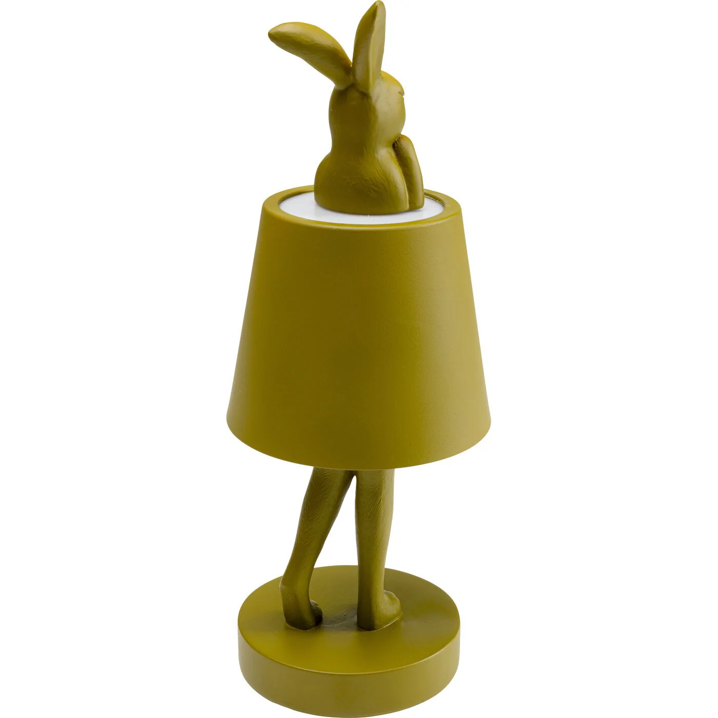 Miniatuur 5