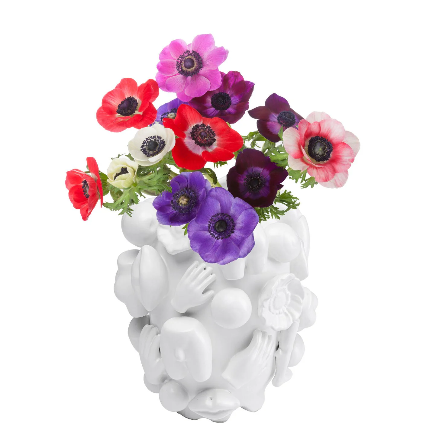 Miniatuur 4