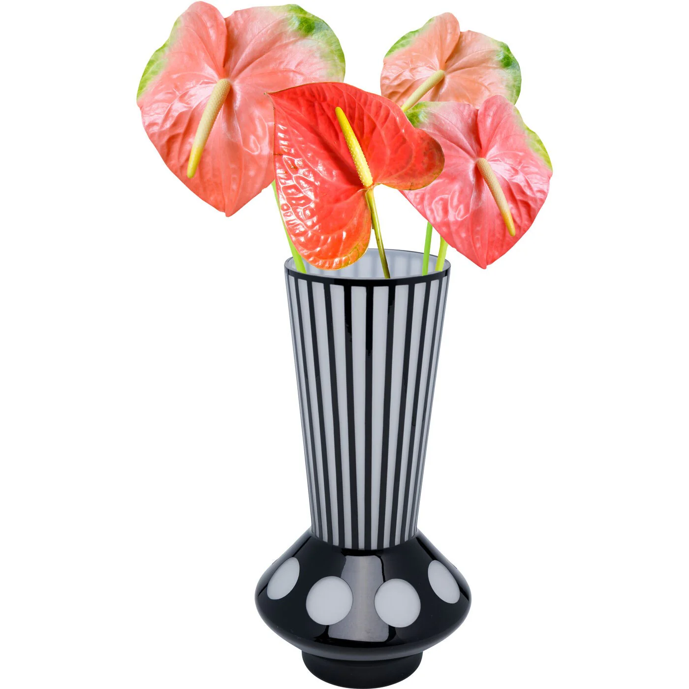 Miniatuur 3
