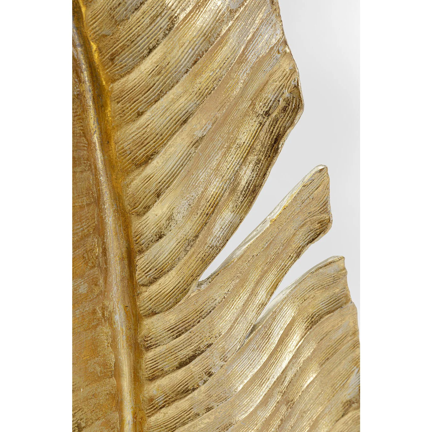 Miniatuur 3