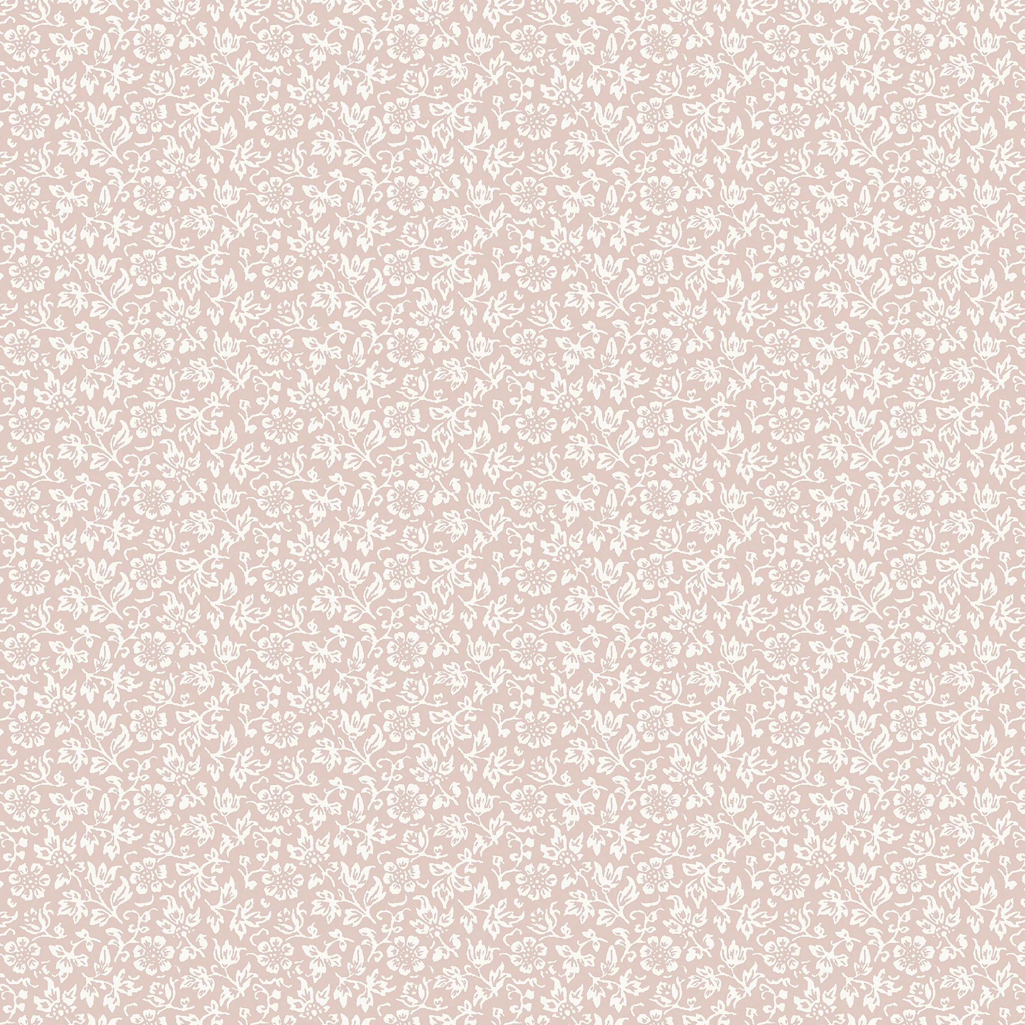 Miniatuur 5