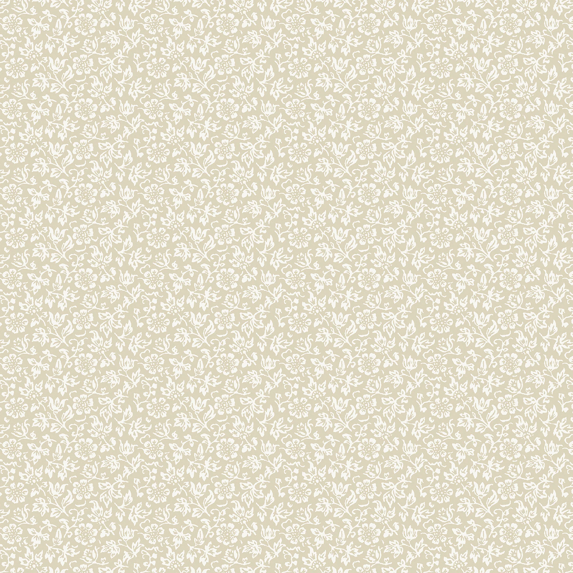 Miniatuur 5