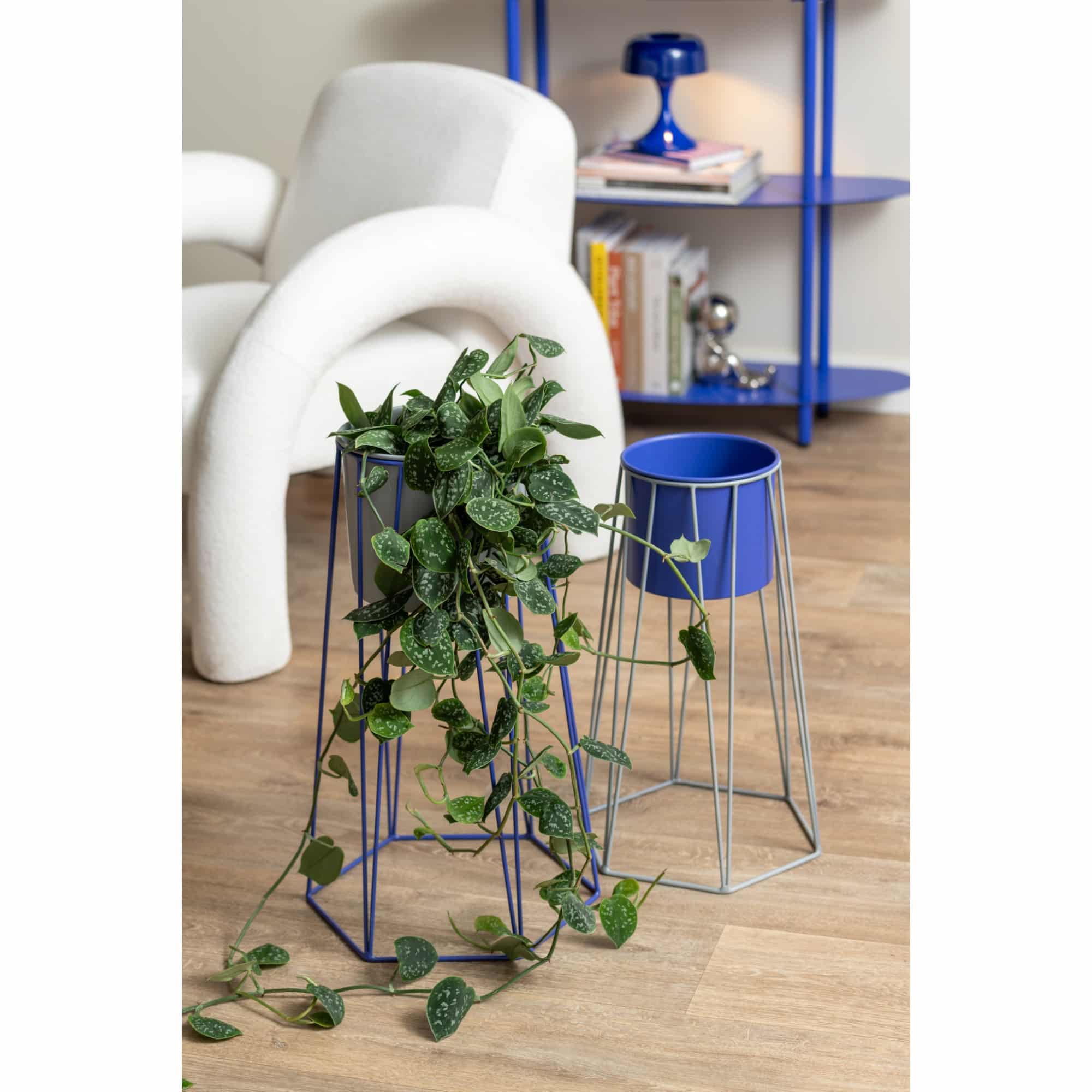 Miniatuur 2