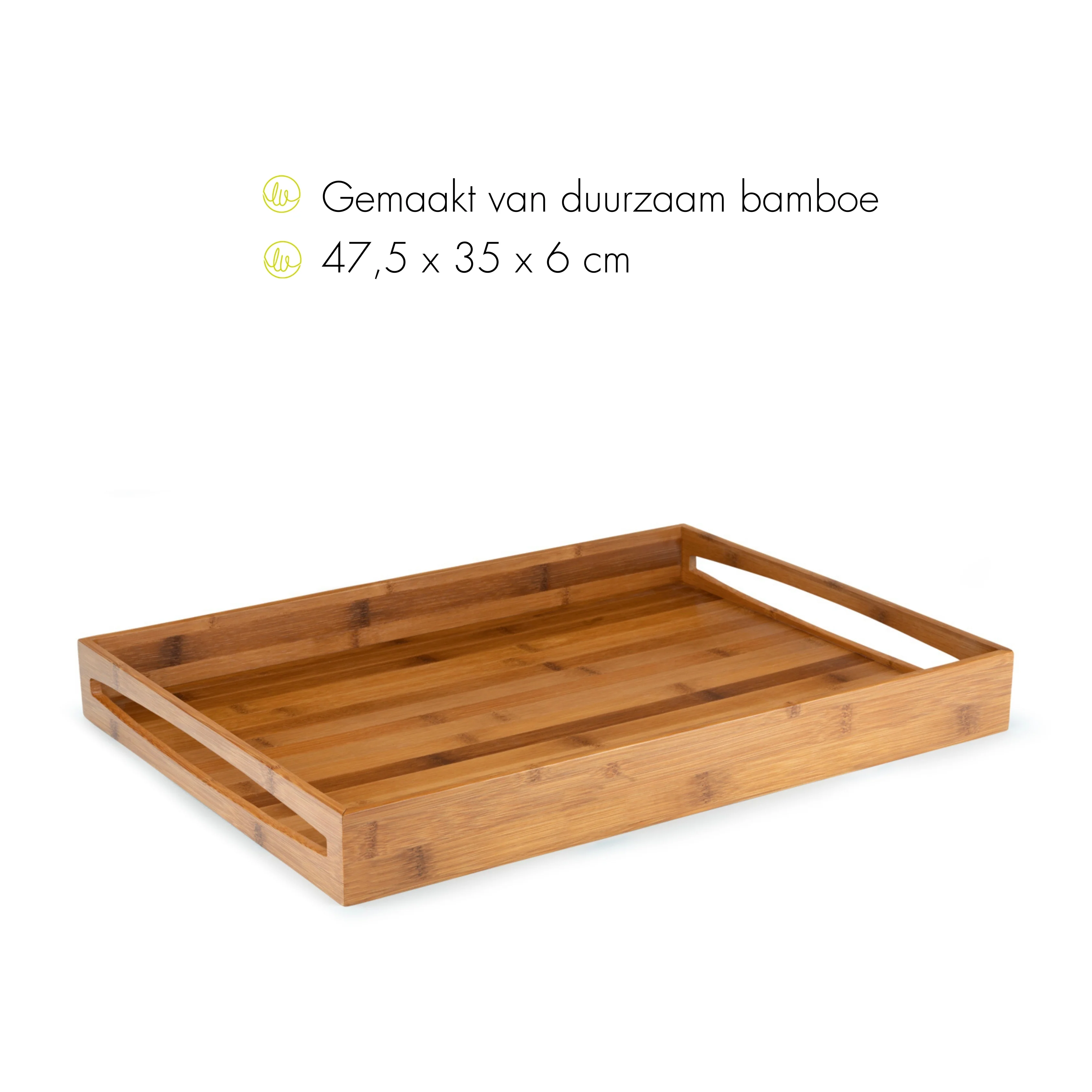 Miniatuur 2