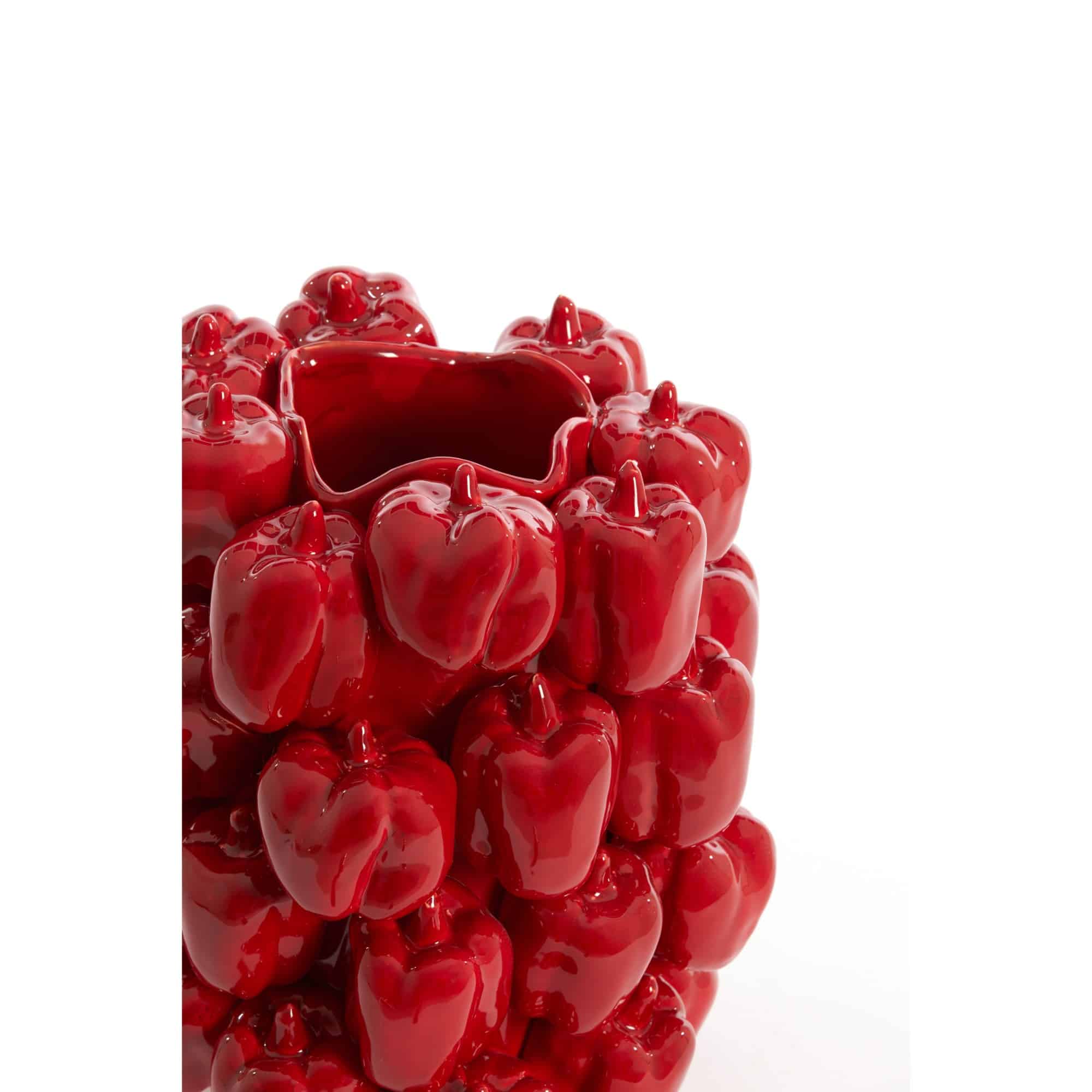 Miniatuur 3