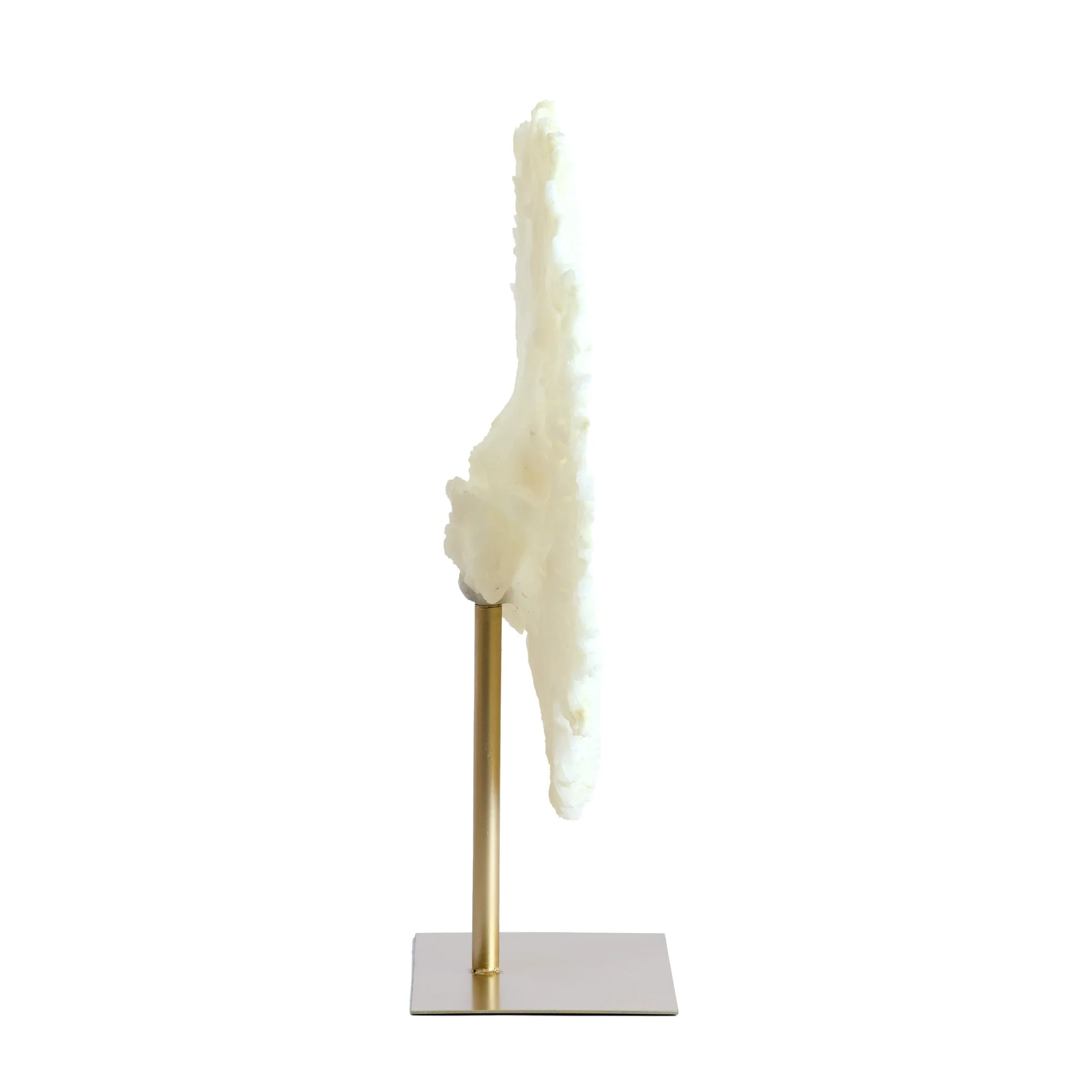 Miniatuur 3