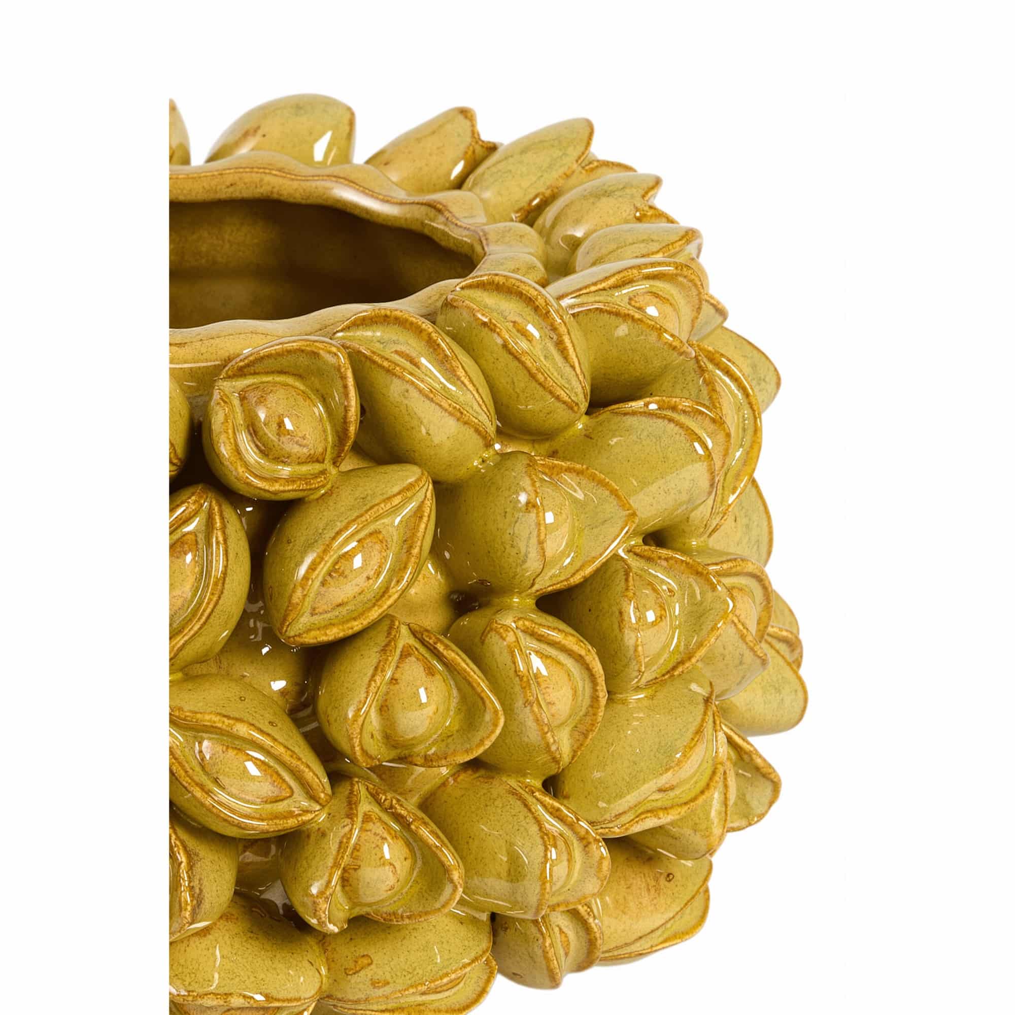 Miniatuur 3