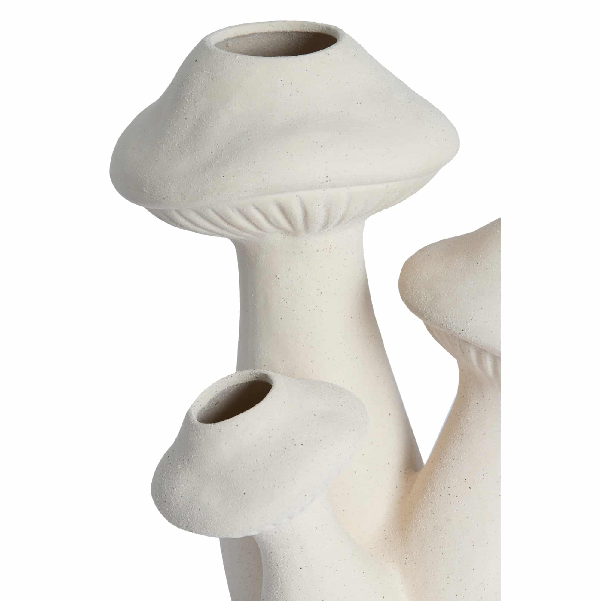 Miniatuur 3