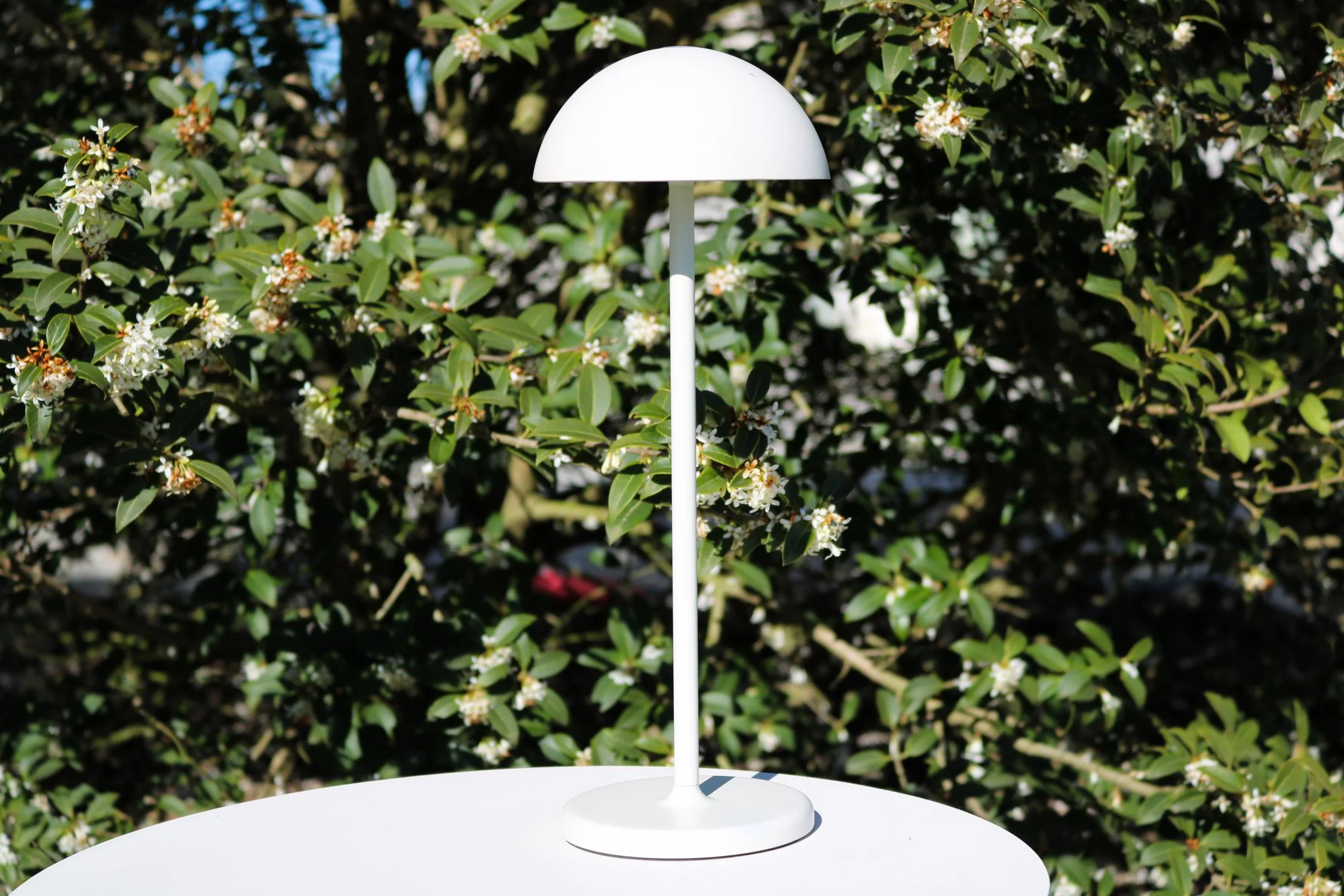 Miniatuur 4