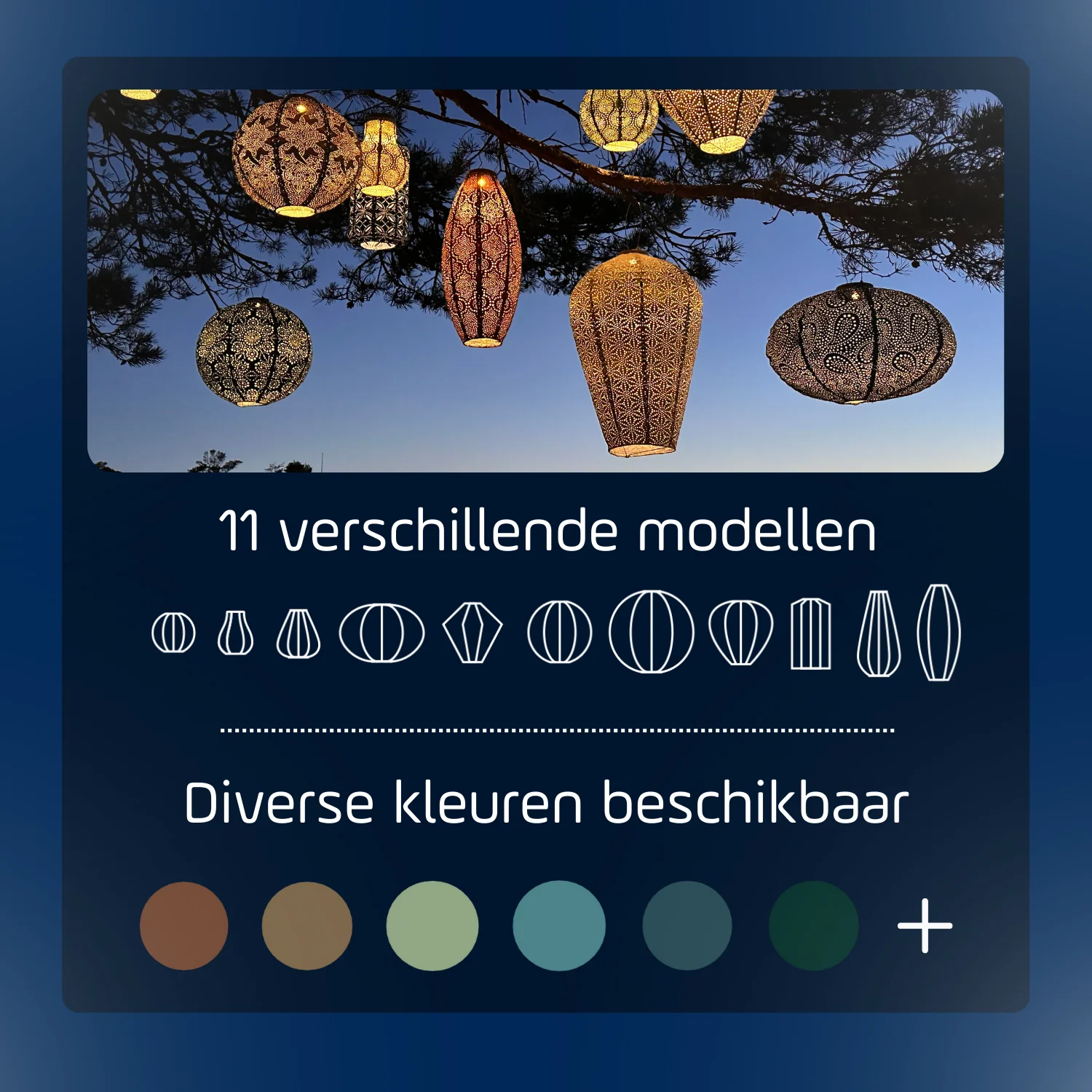Miniatuur 6