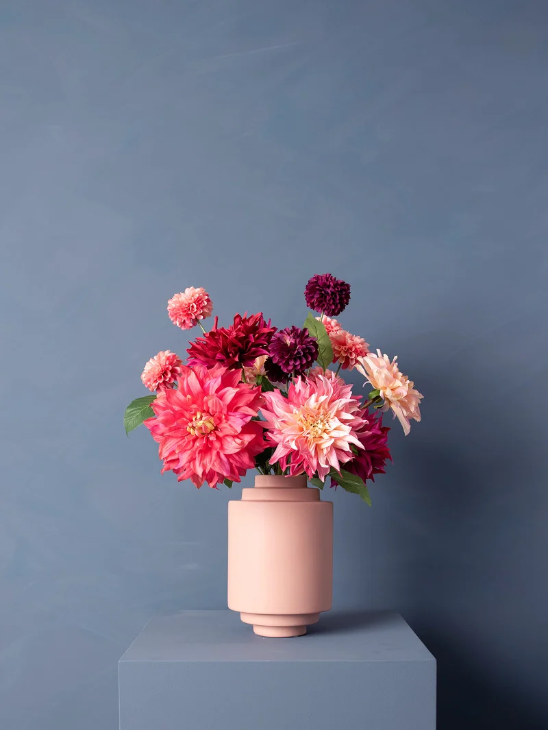 Miniatuur 3