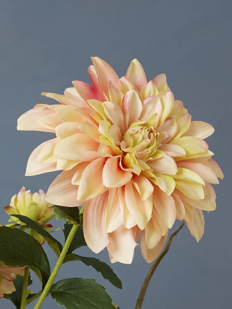 Miniatuur 2