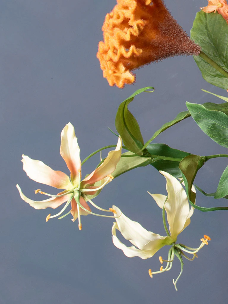Miniatuur 3