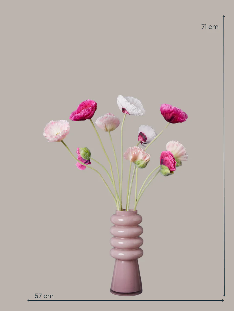 Miniatuur 3
