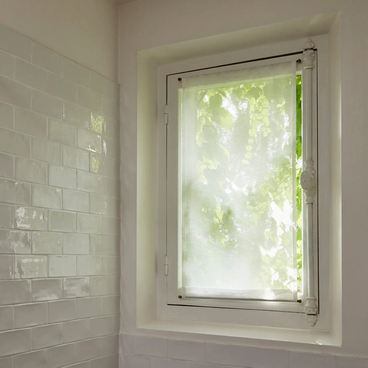 Miniatuur 2