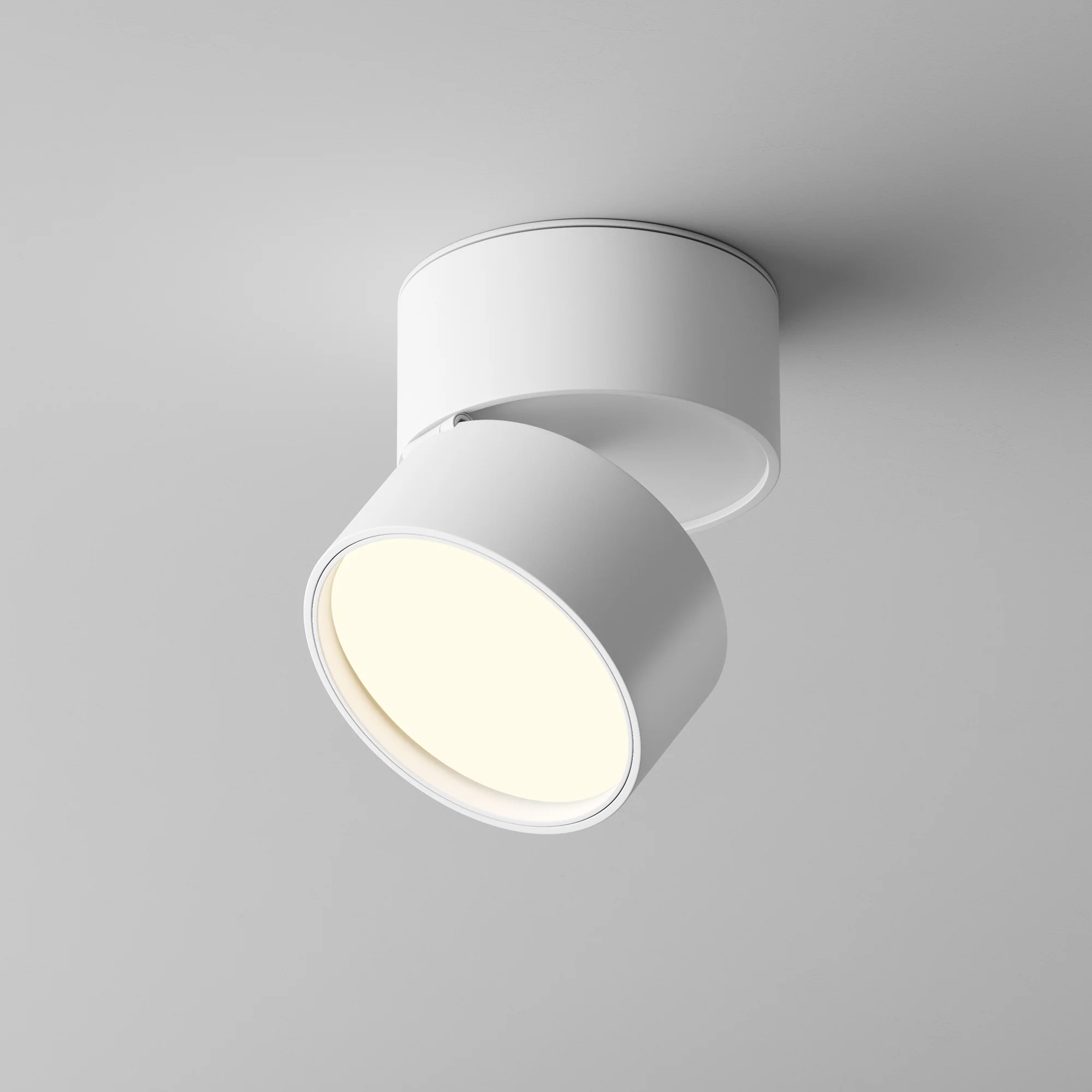 Miniatuur 6