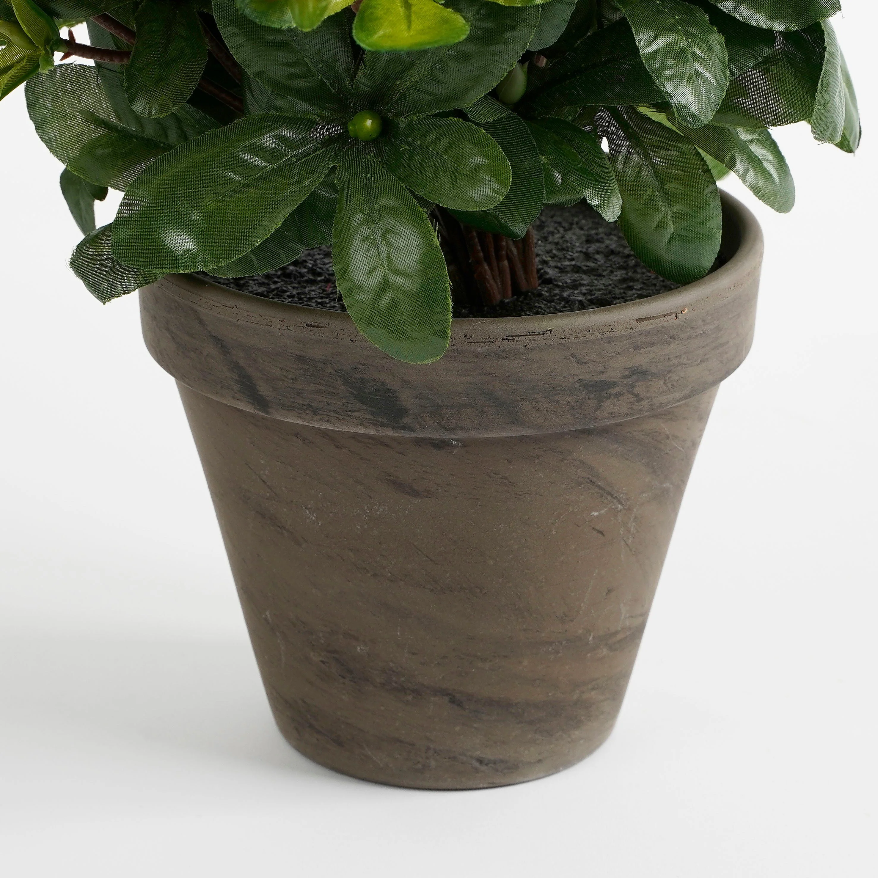 Miniatuur 3