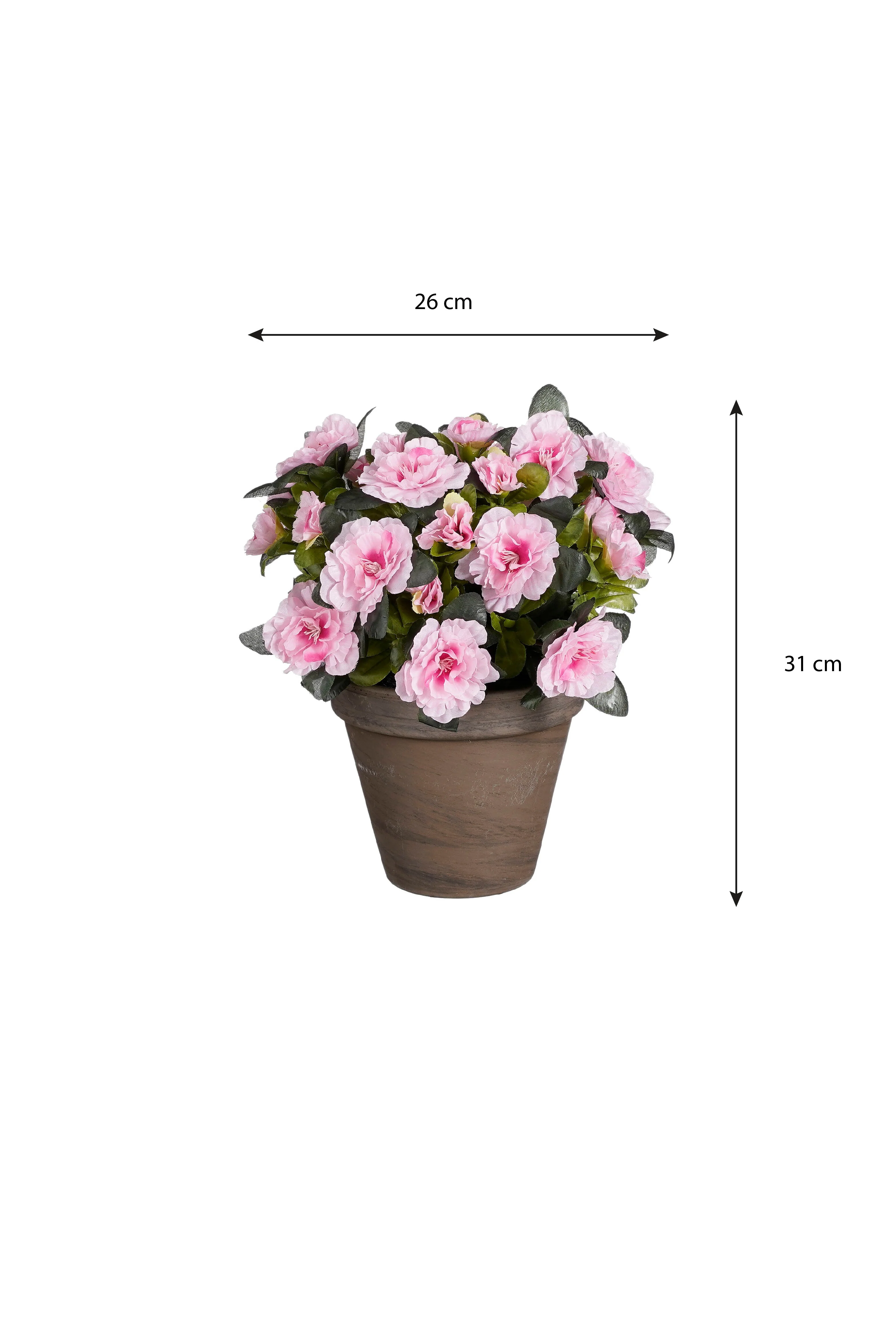 Miniatuur 4