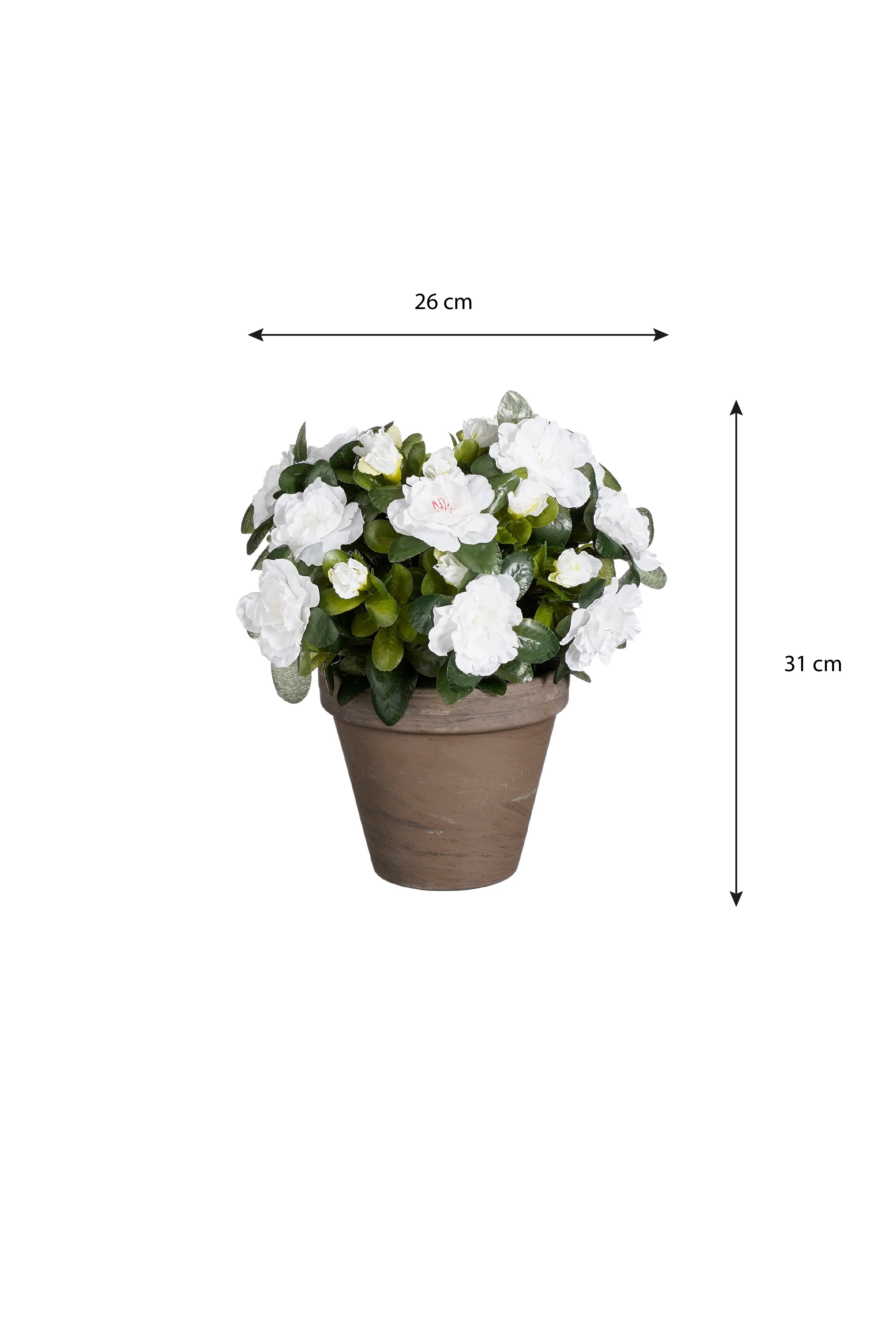 Miniatuur 4