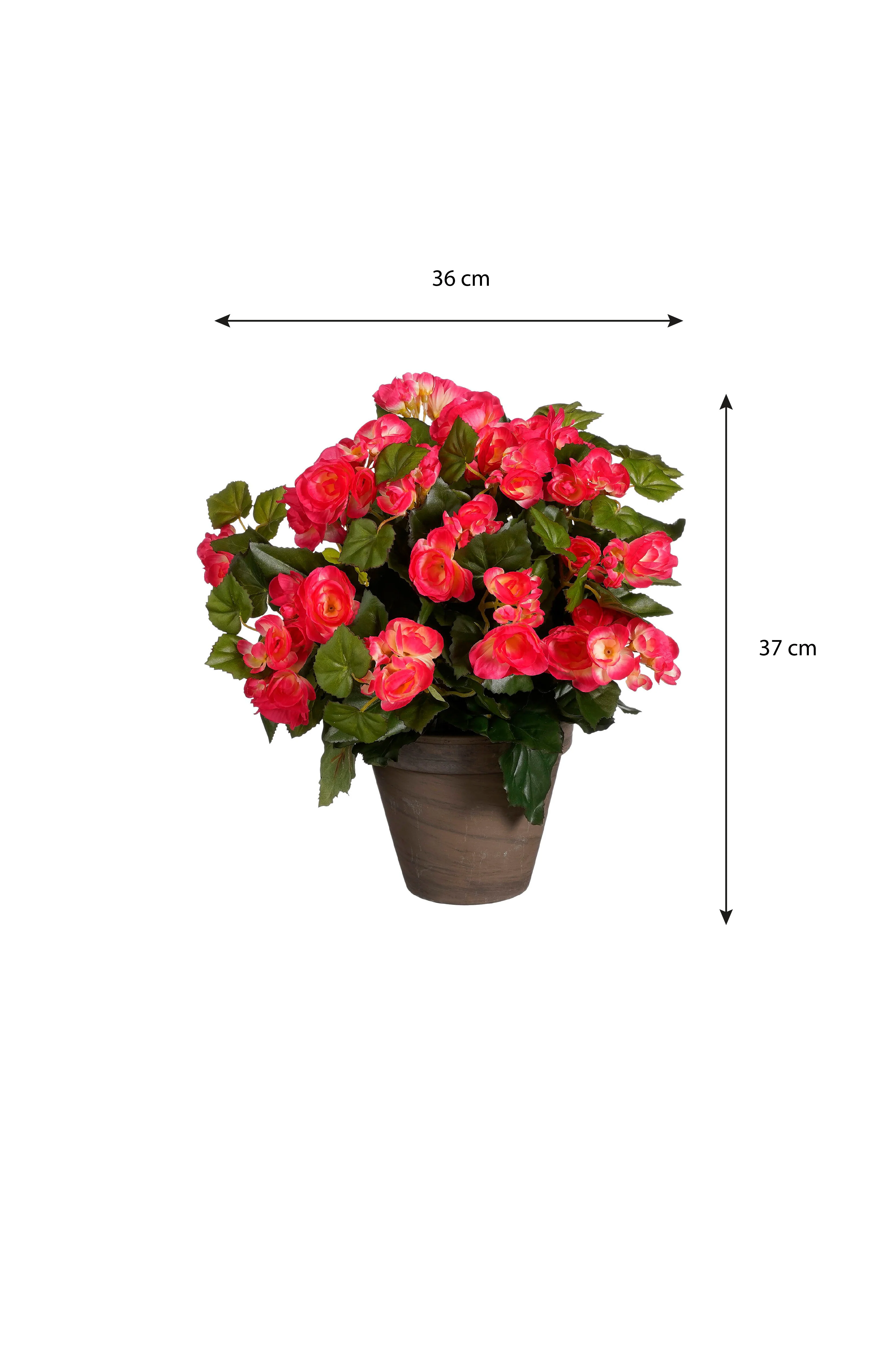 Miniatuur 4
