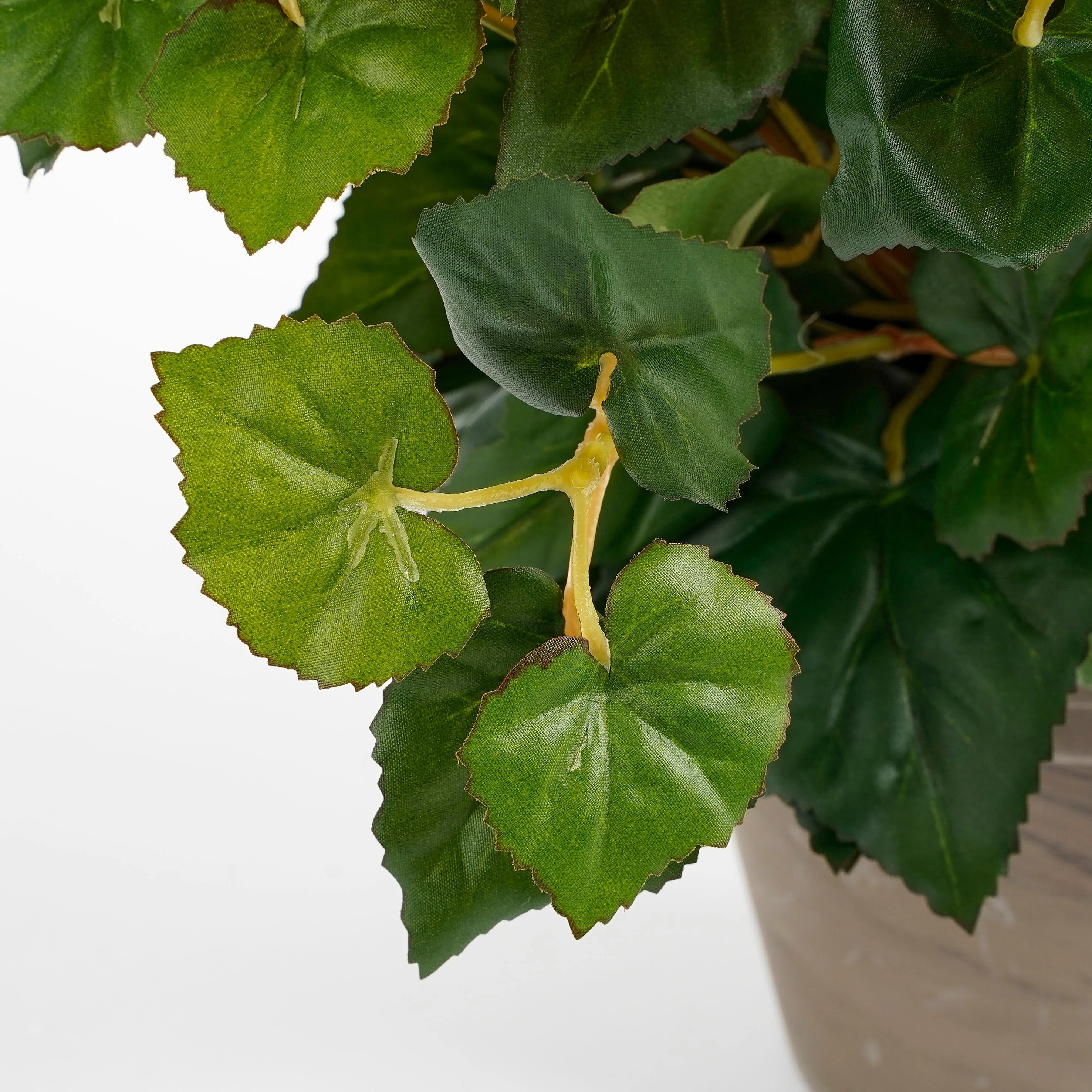 Miniatuur 3