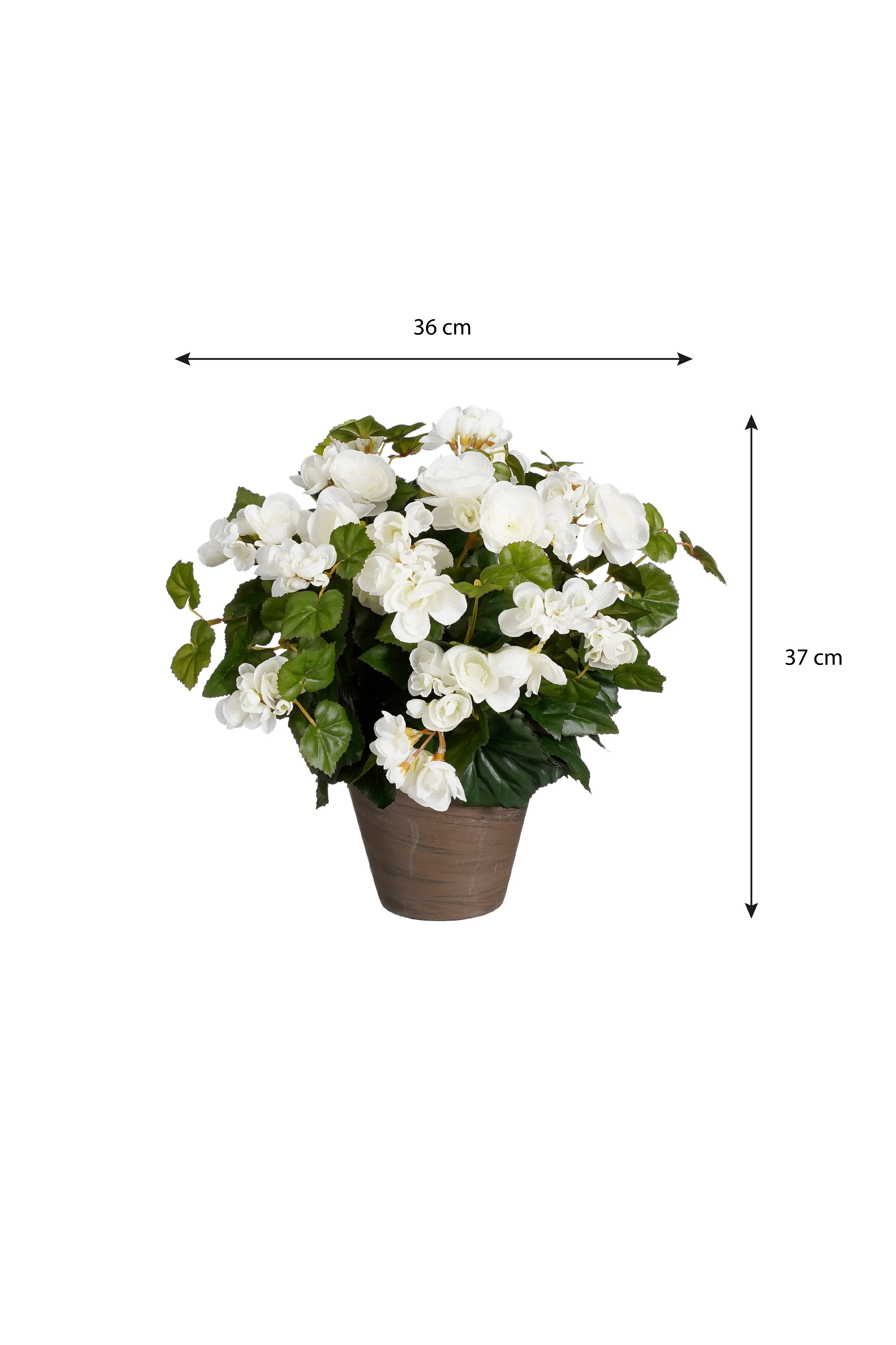 Miniatuur 4