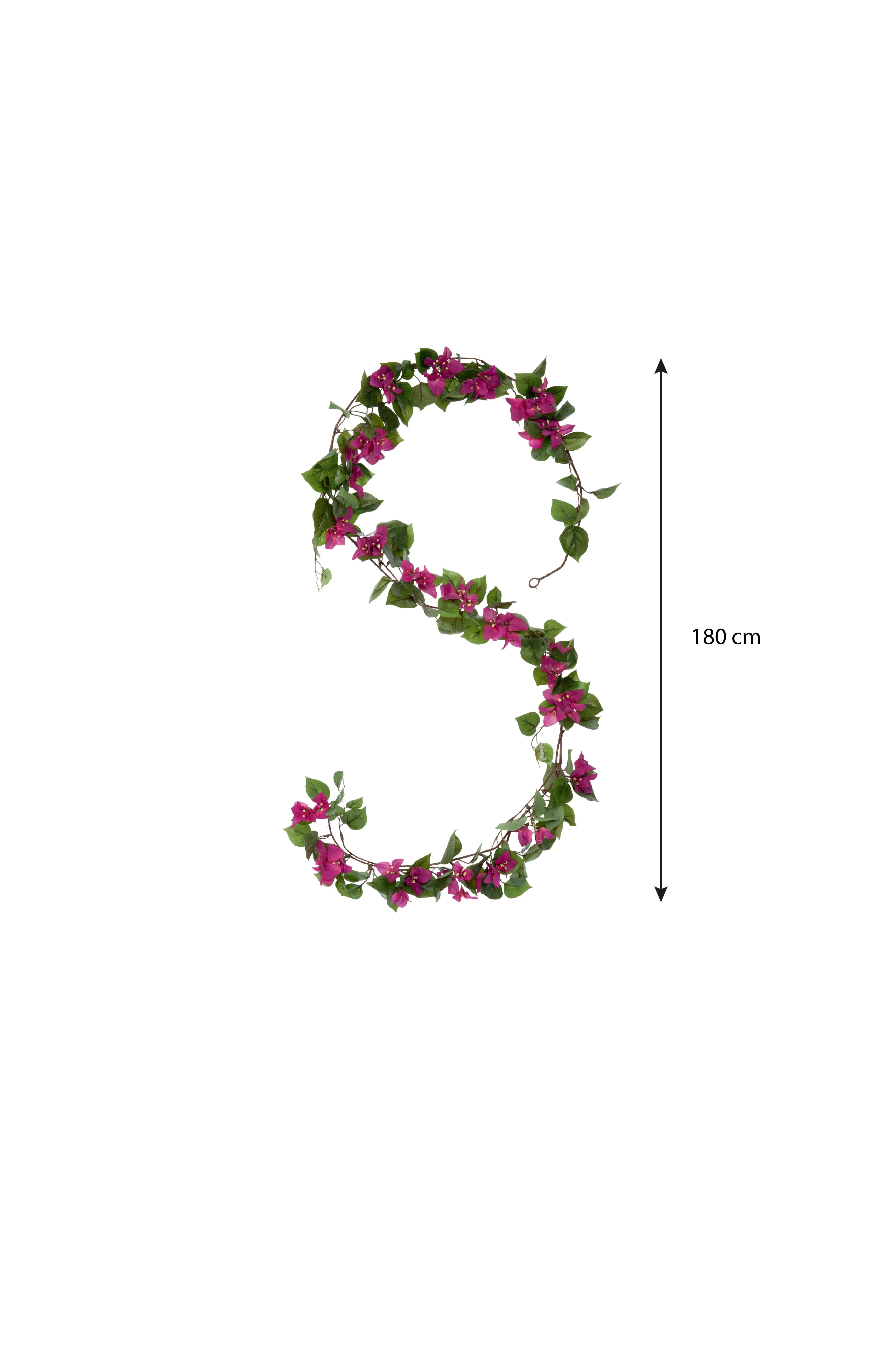 Miniatuur 4