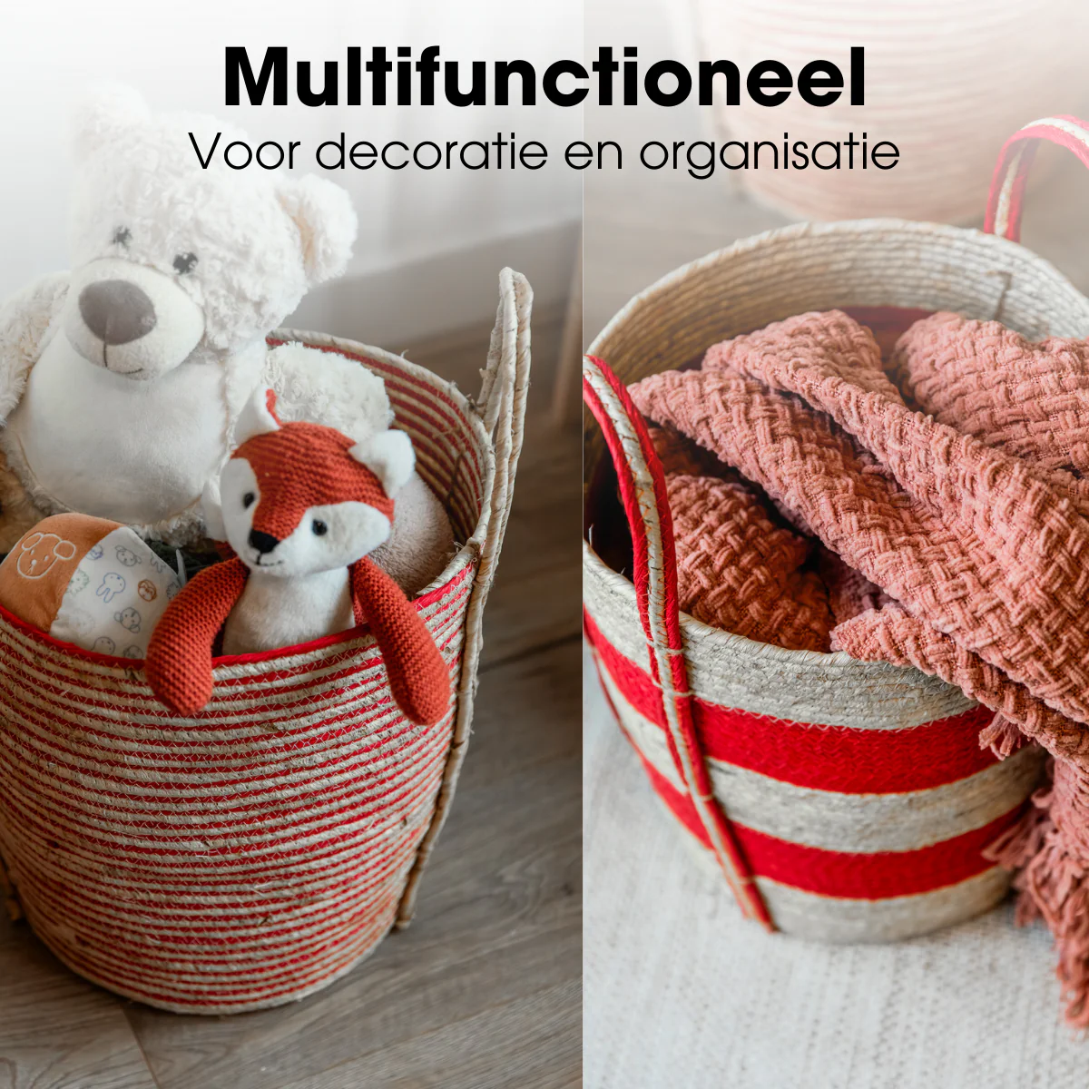Miniatuur 3