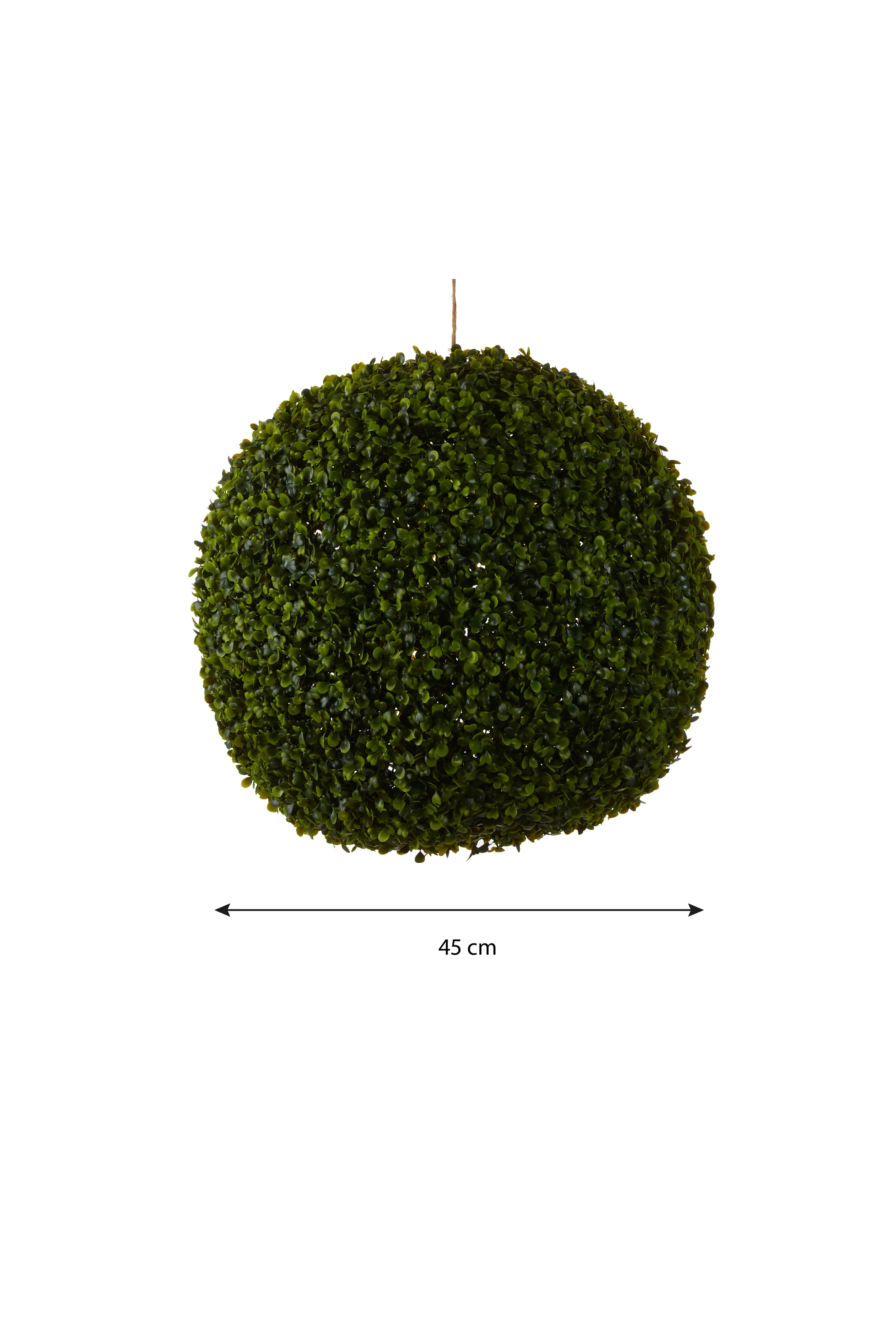 Miniatuur 4