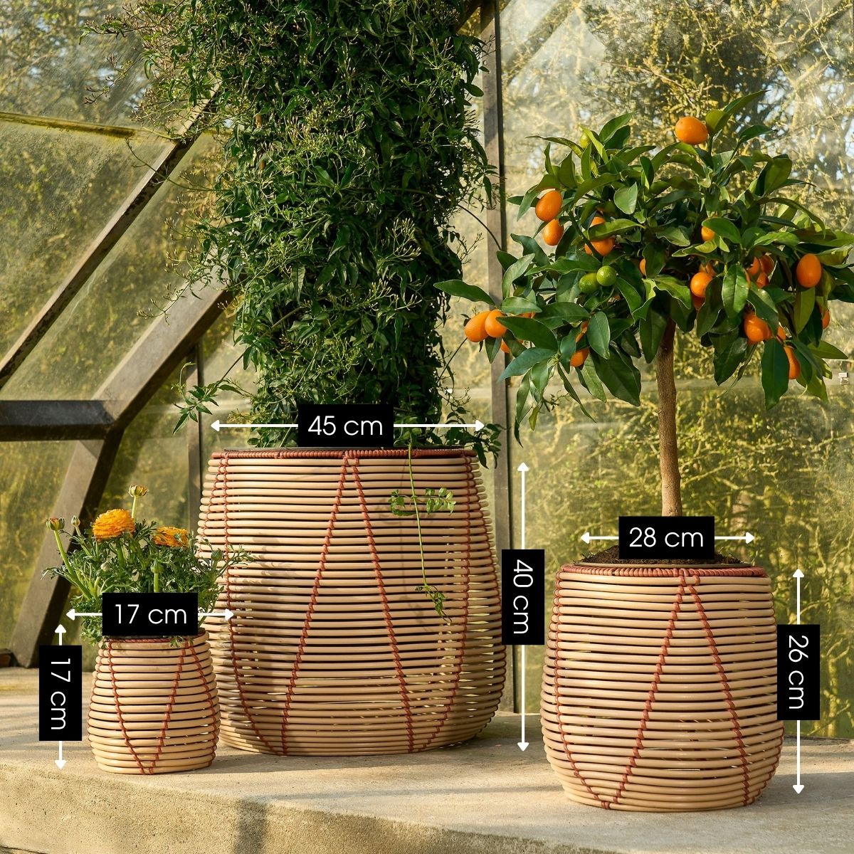 Miniatuur 2