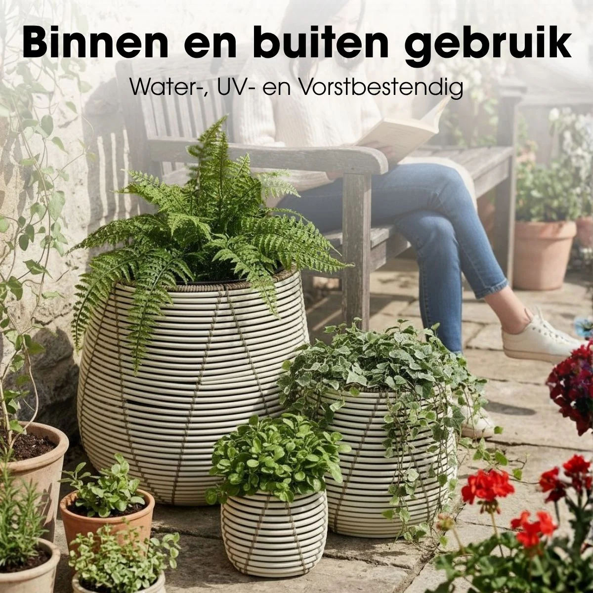 Miniatuur 5