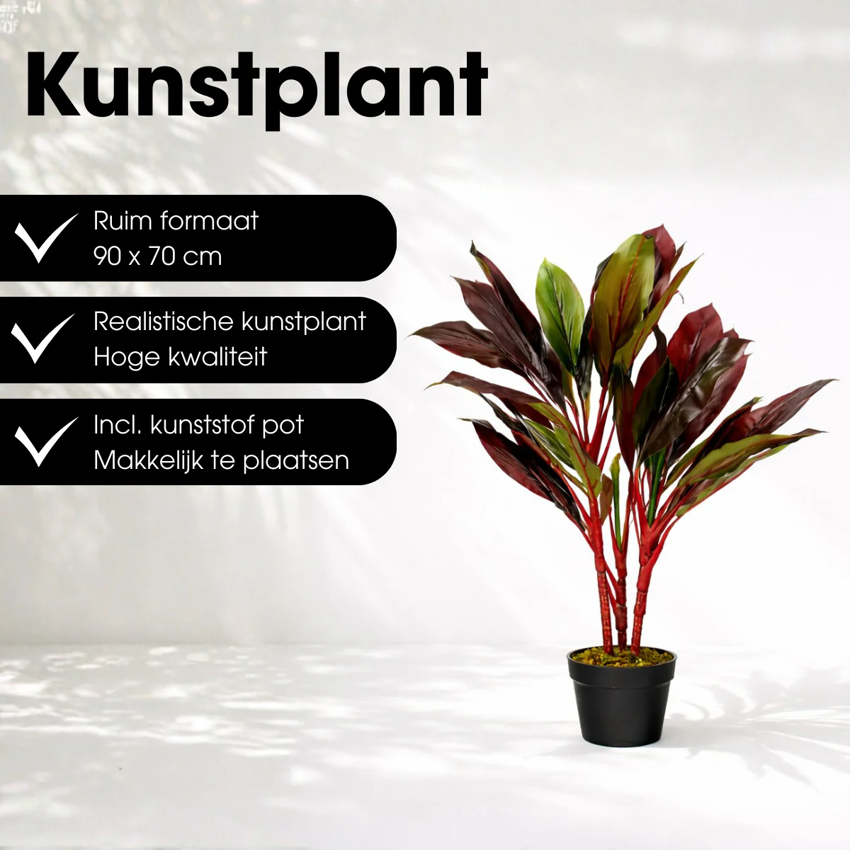 Miniatuur 4