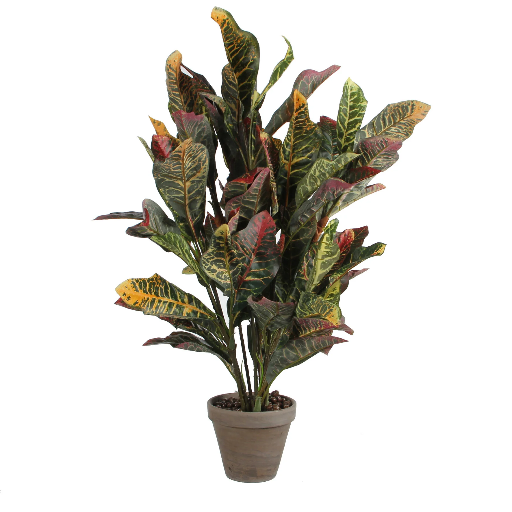 Miniatuur 1