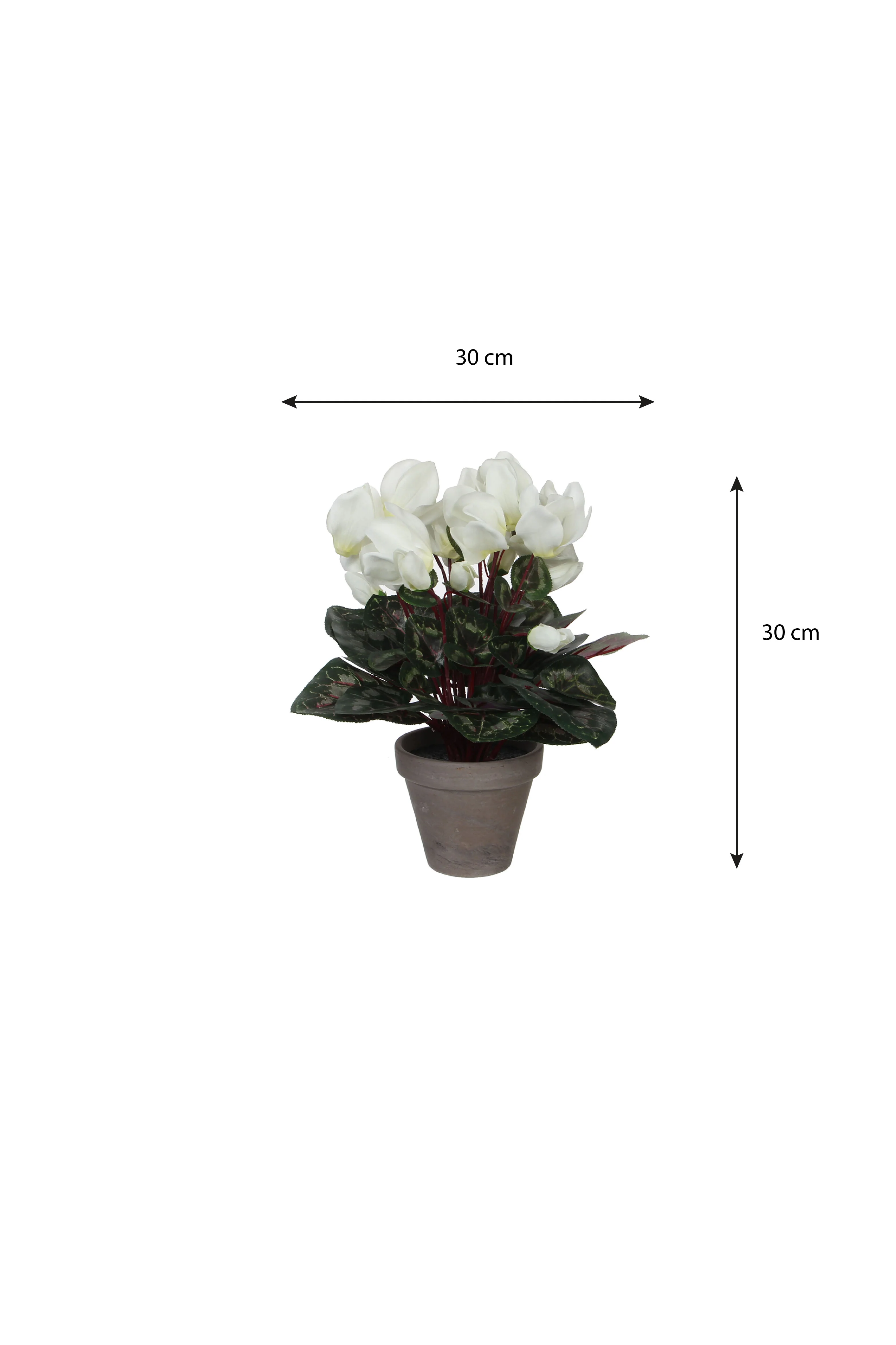 Miniatuur 4