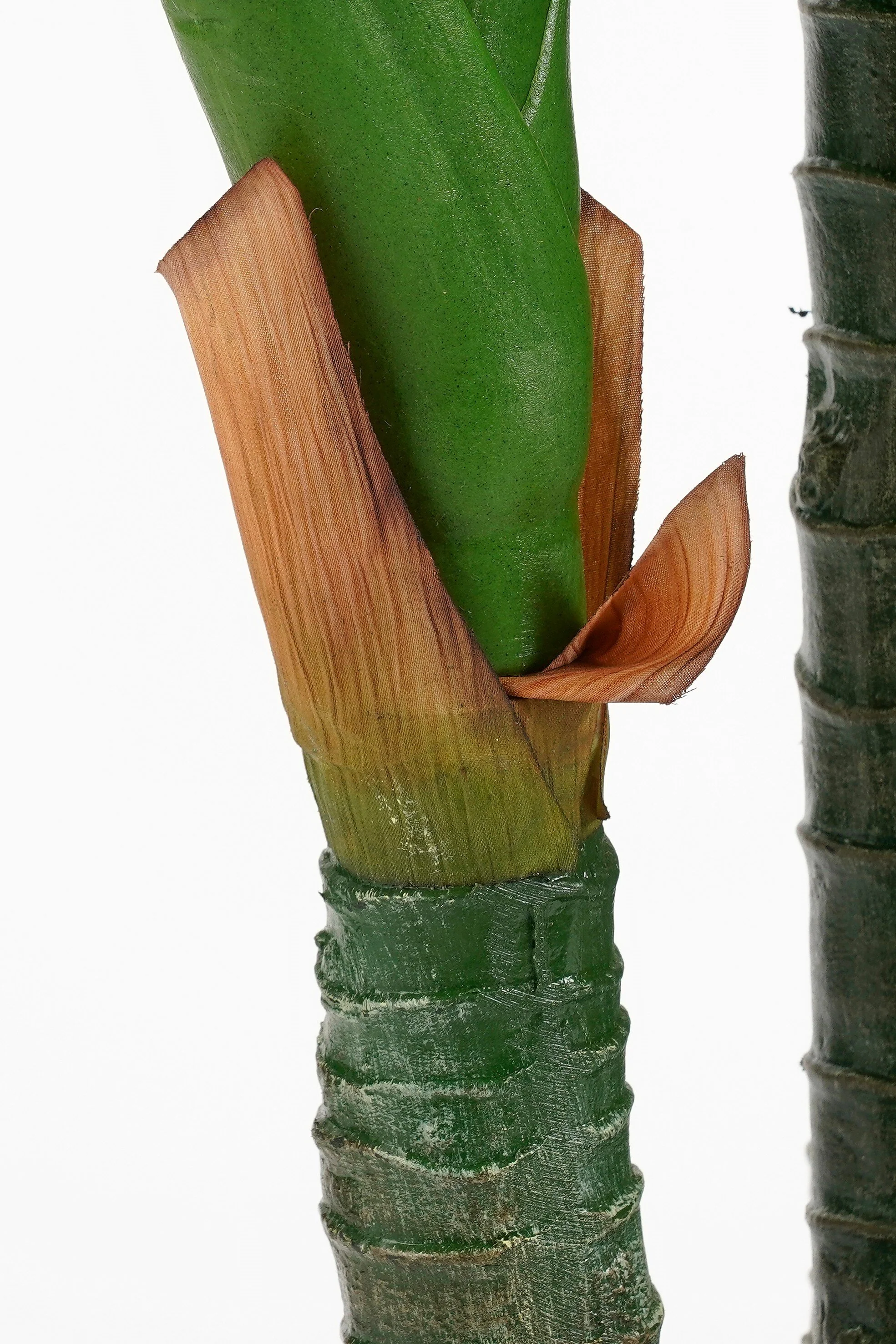 Miniatuur 3