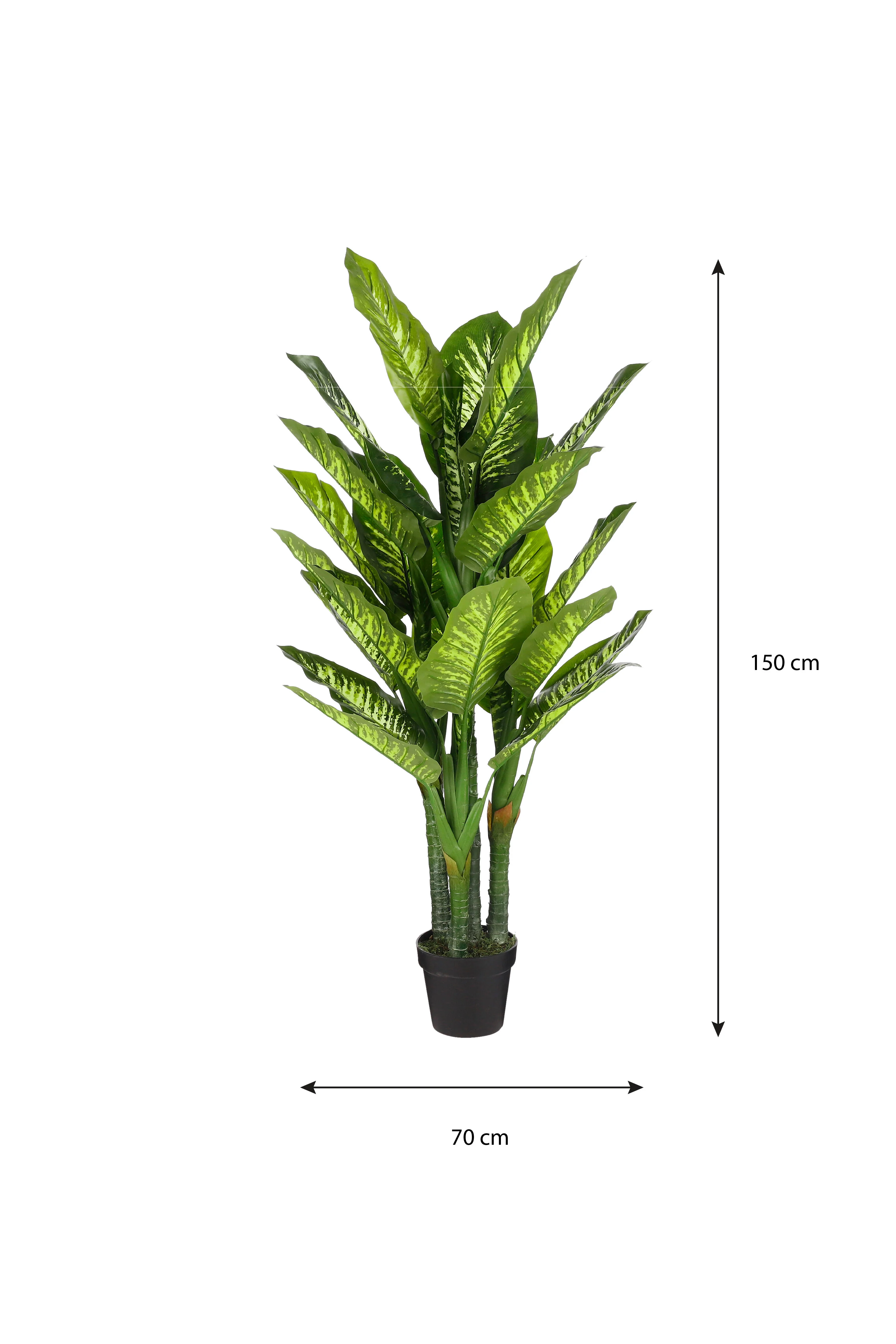 Miniatuur 4