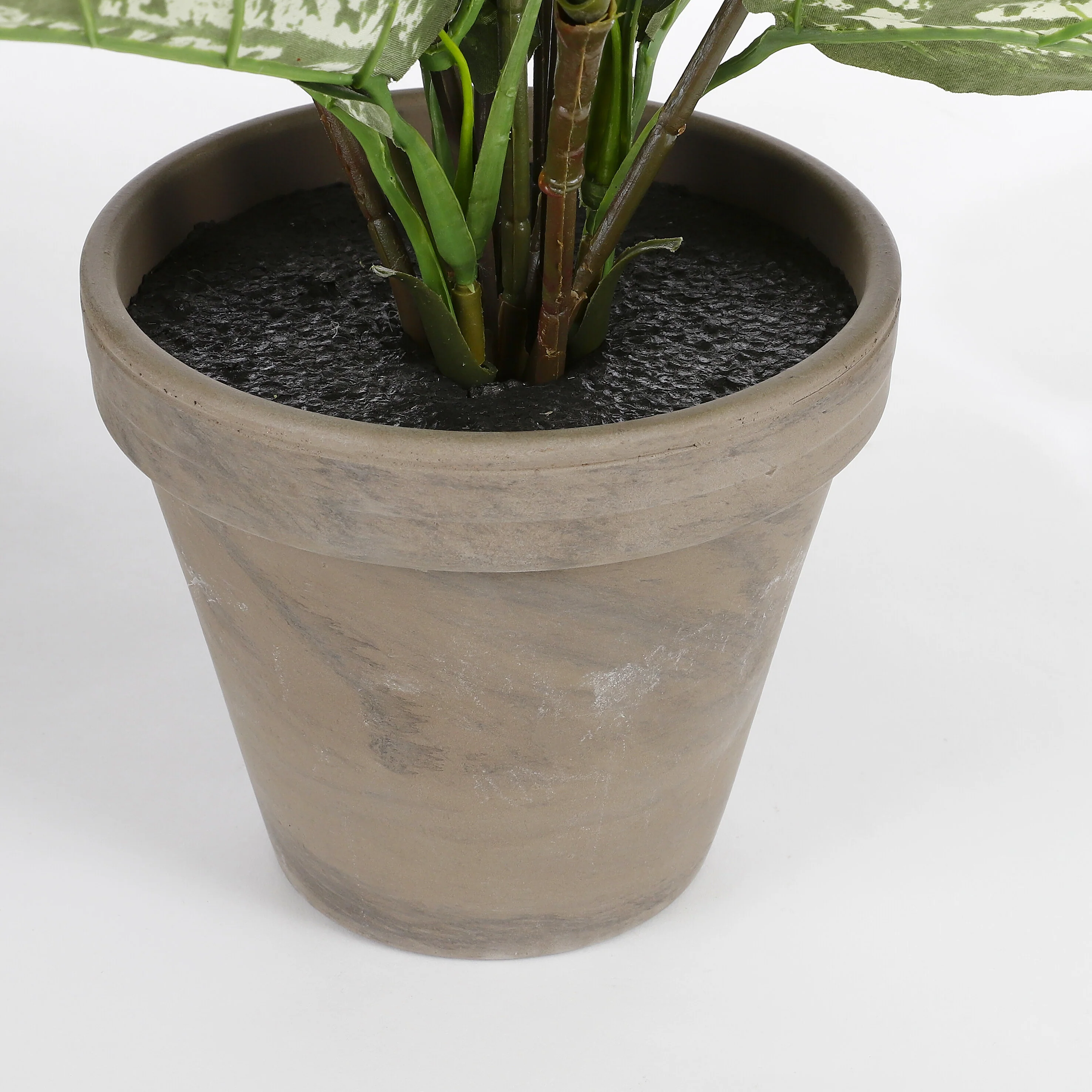 Miniatuur 3