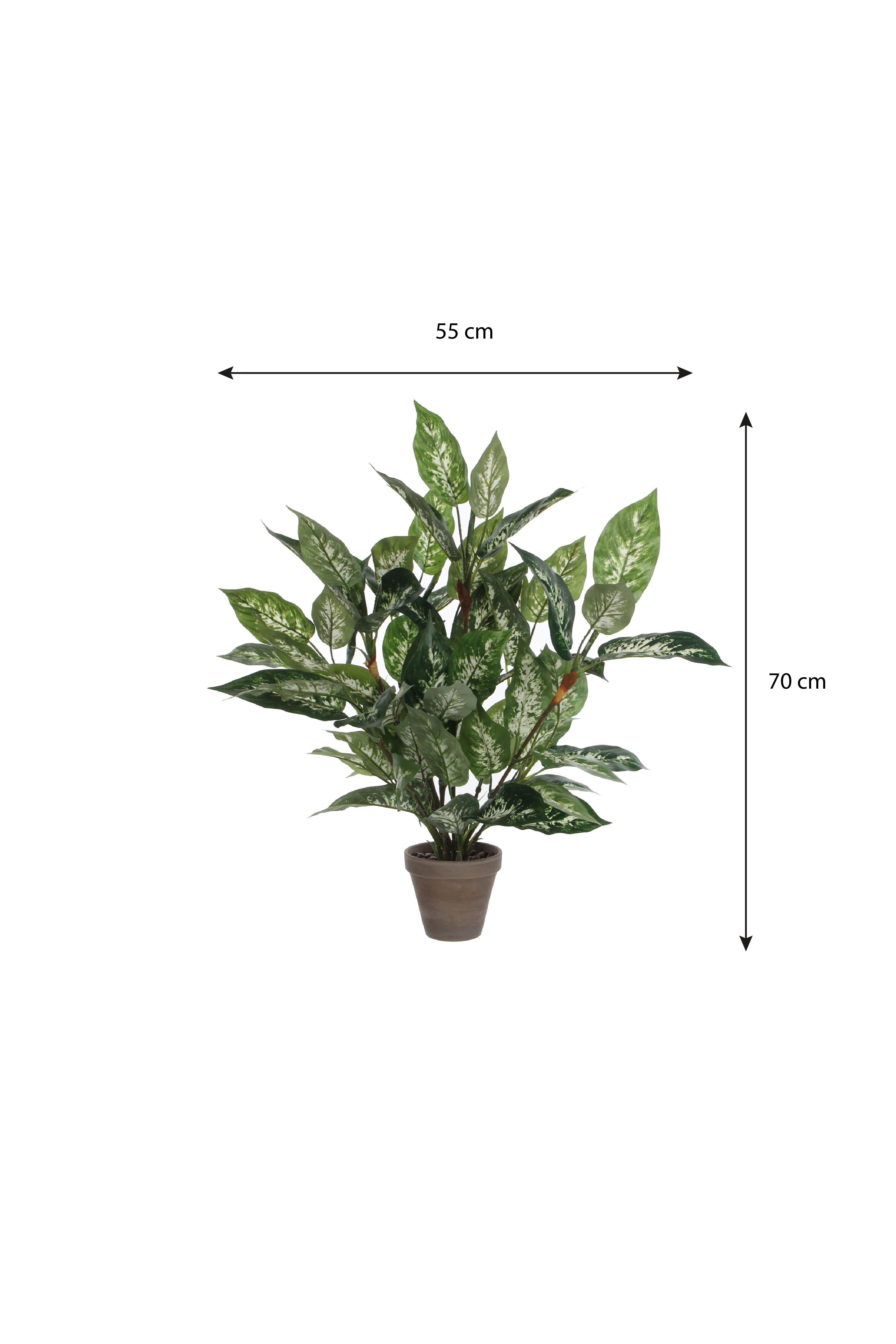 Miniatuur 4