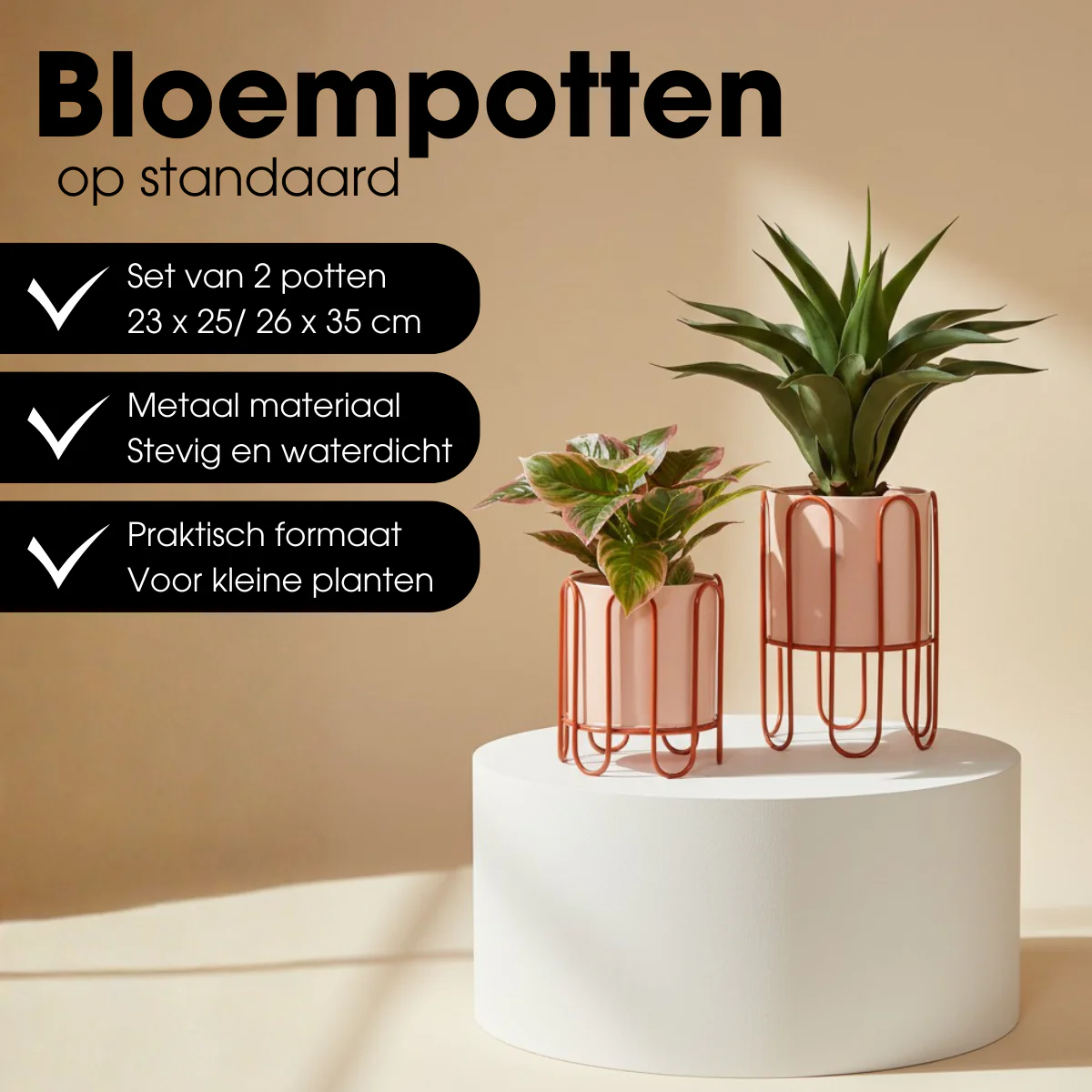 Miniatuur 4