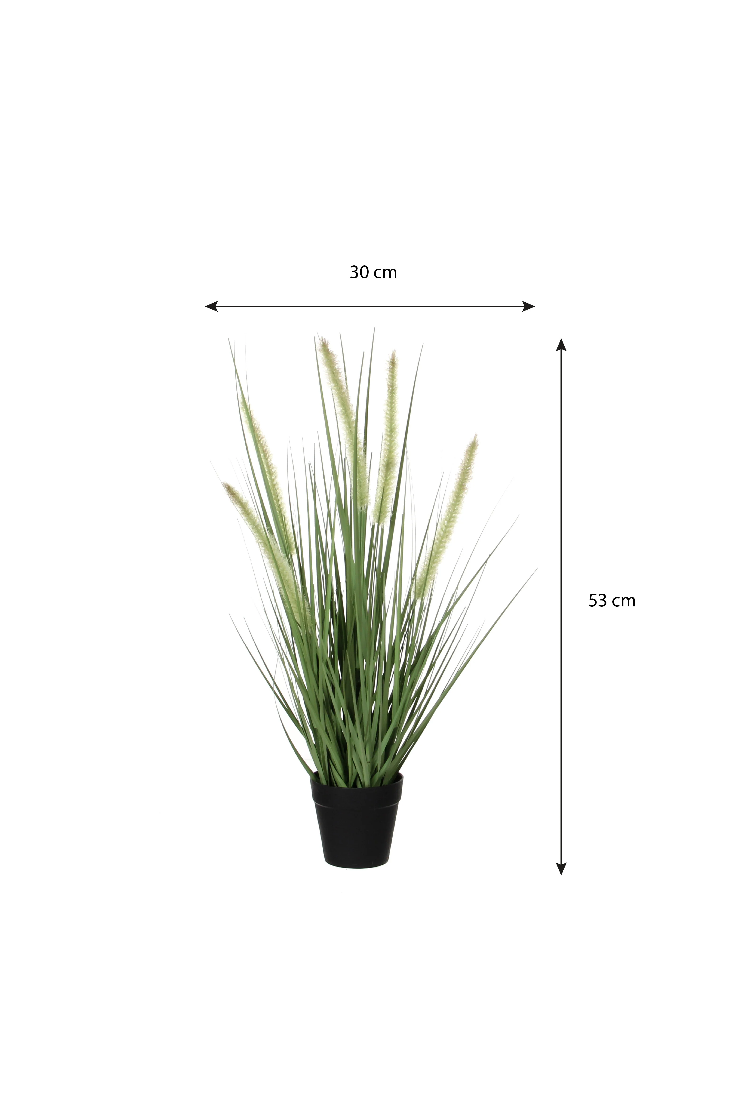 Miniatuur 4