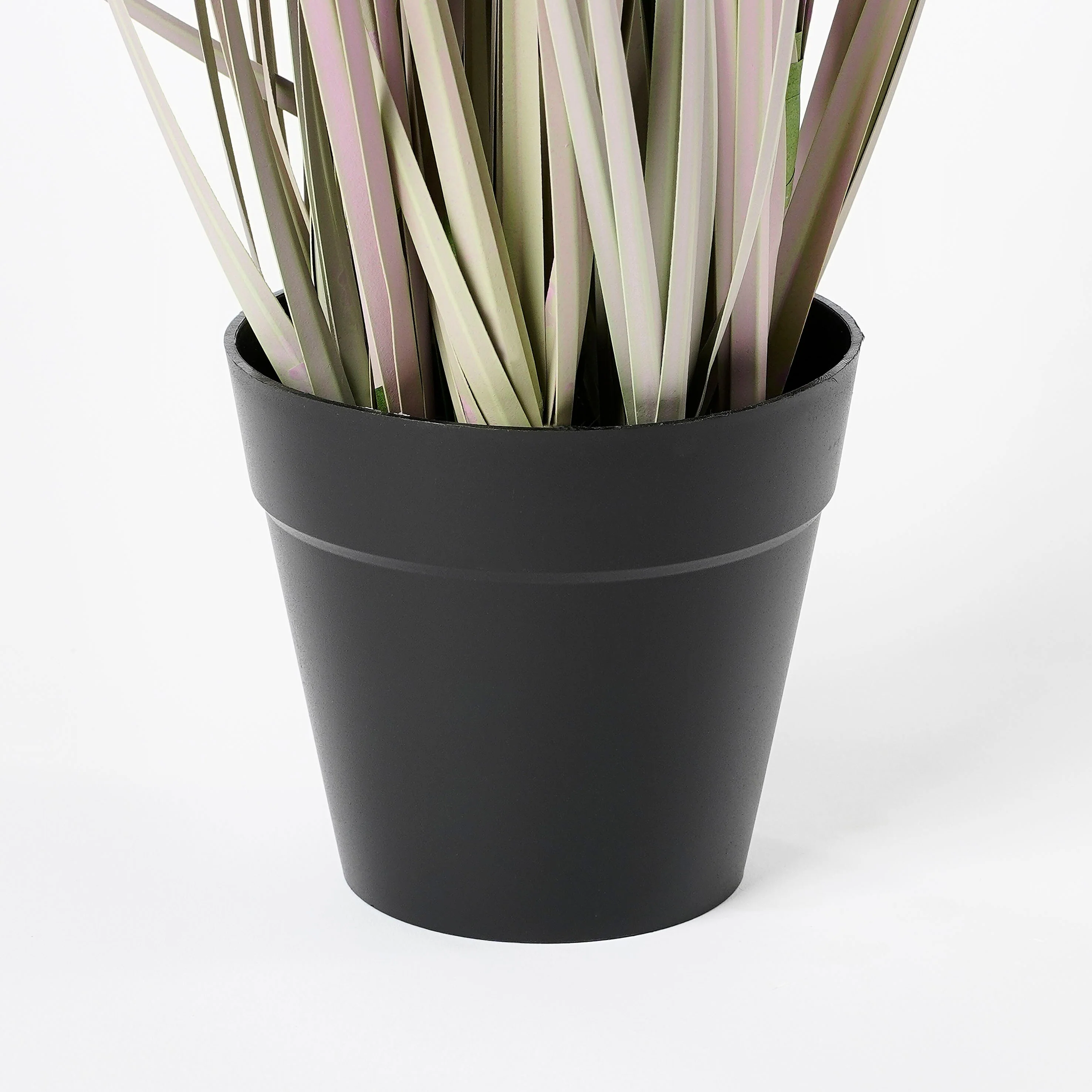 Miniatuur 3