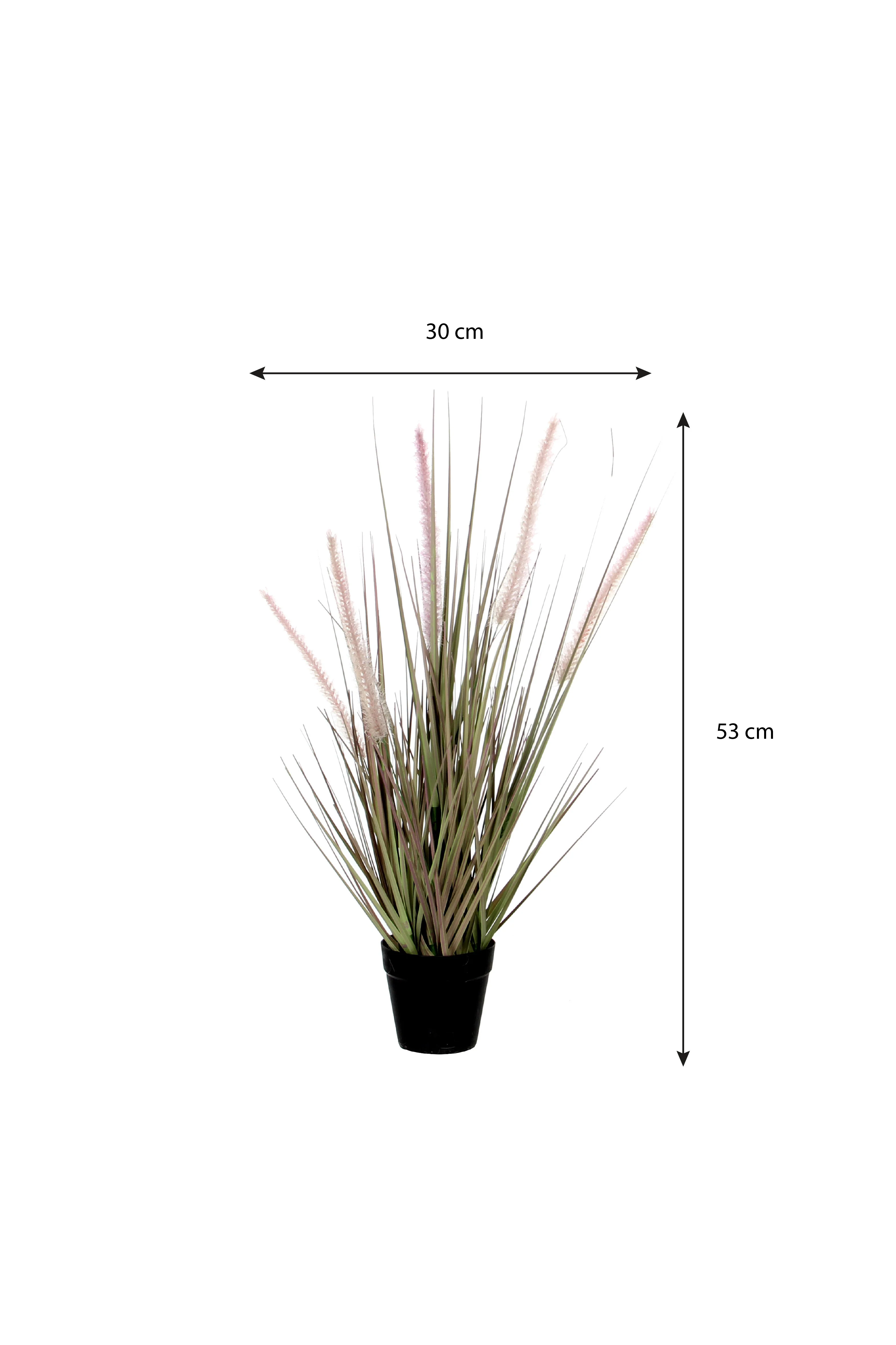 Miniatuur 4