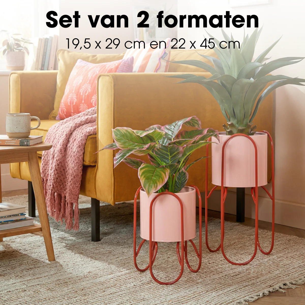 Miniatuur 6